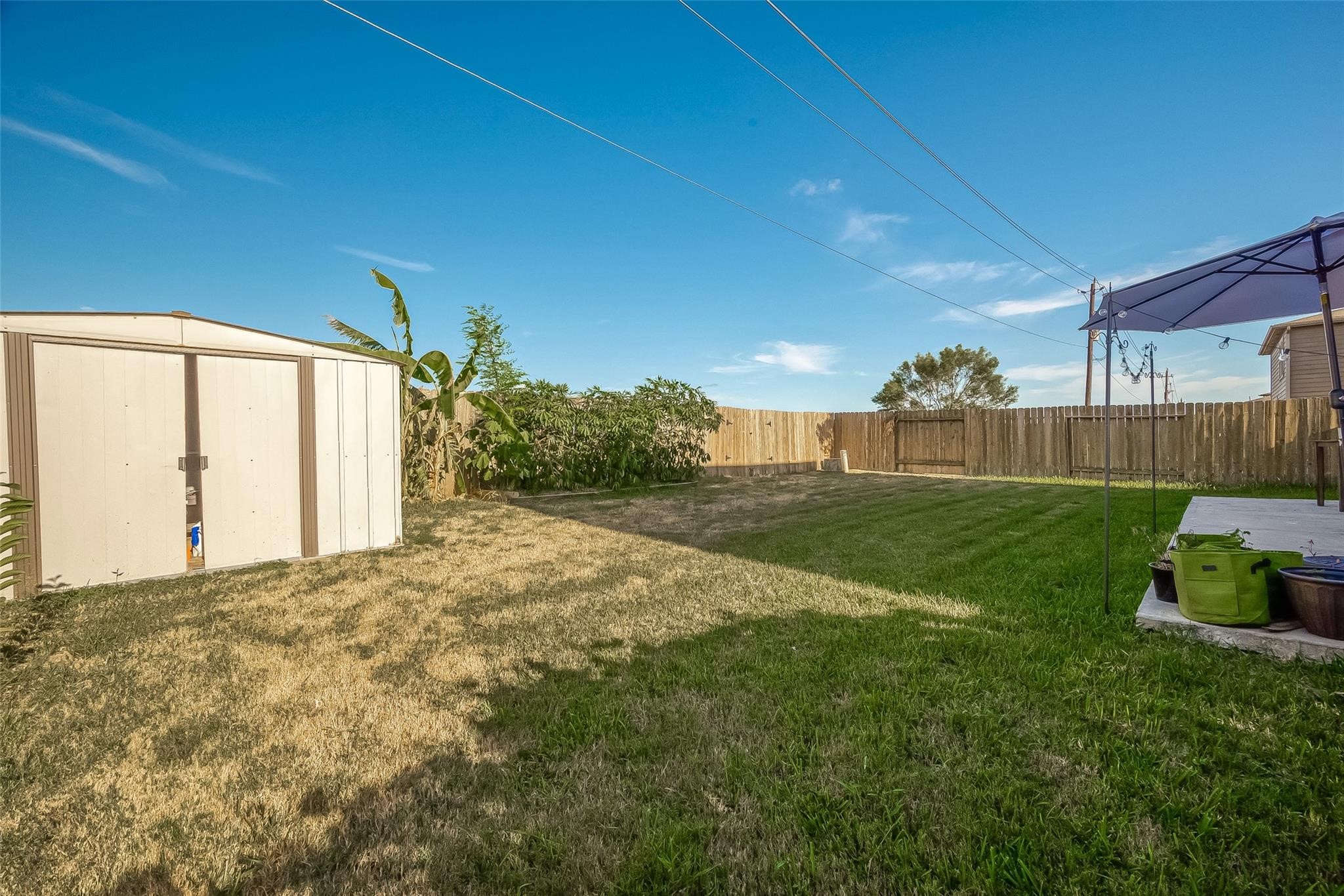 Backyard