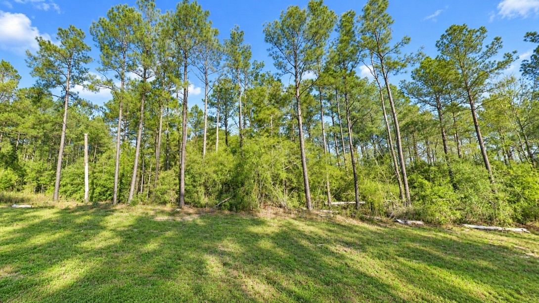 15987 Four Hills Road, Willis, TX 77378