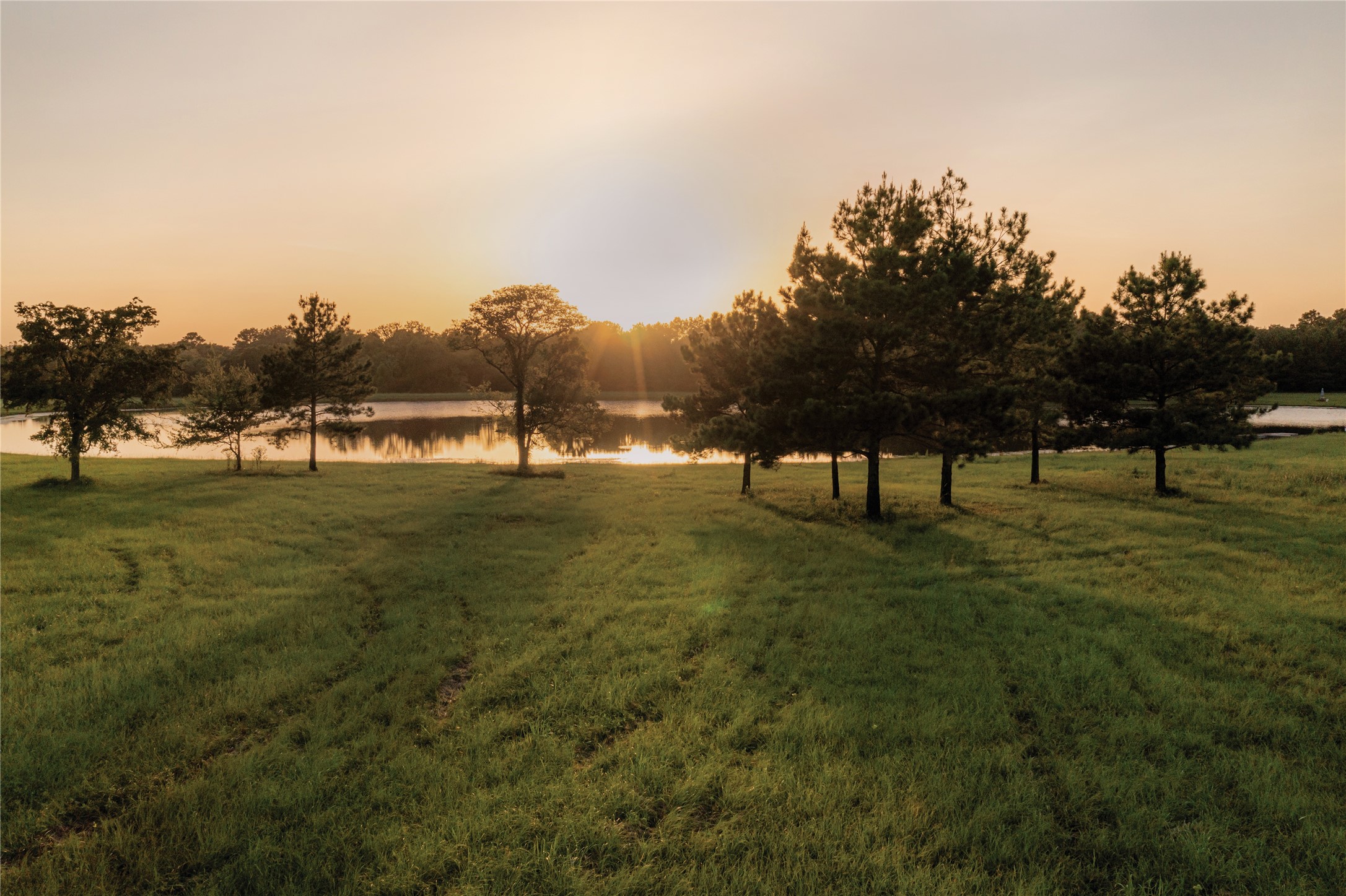 15987 Four Hills Road, Willis, TX 77378