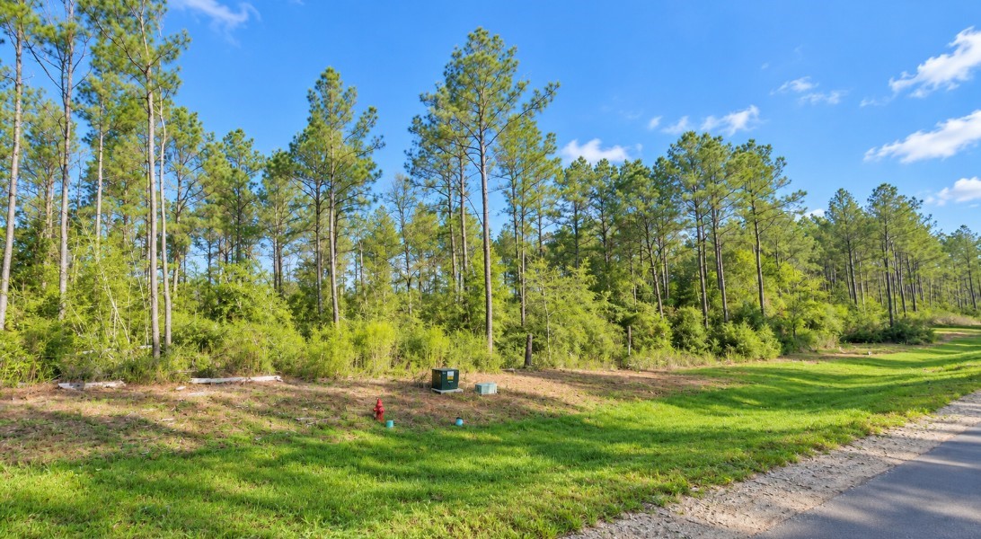 15987 Four Hills Road, Willis, TX 77378