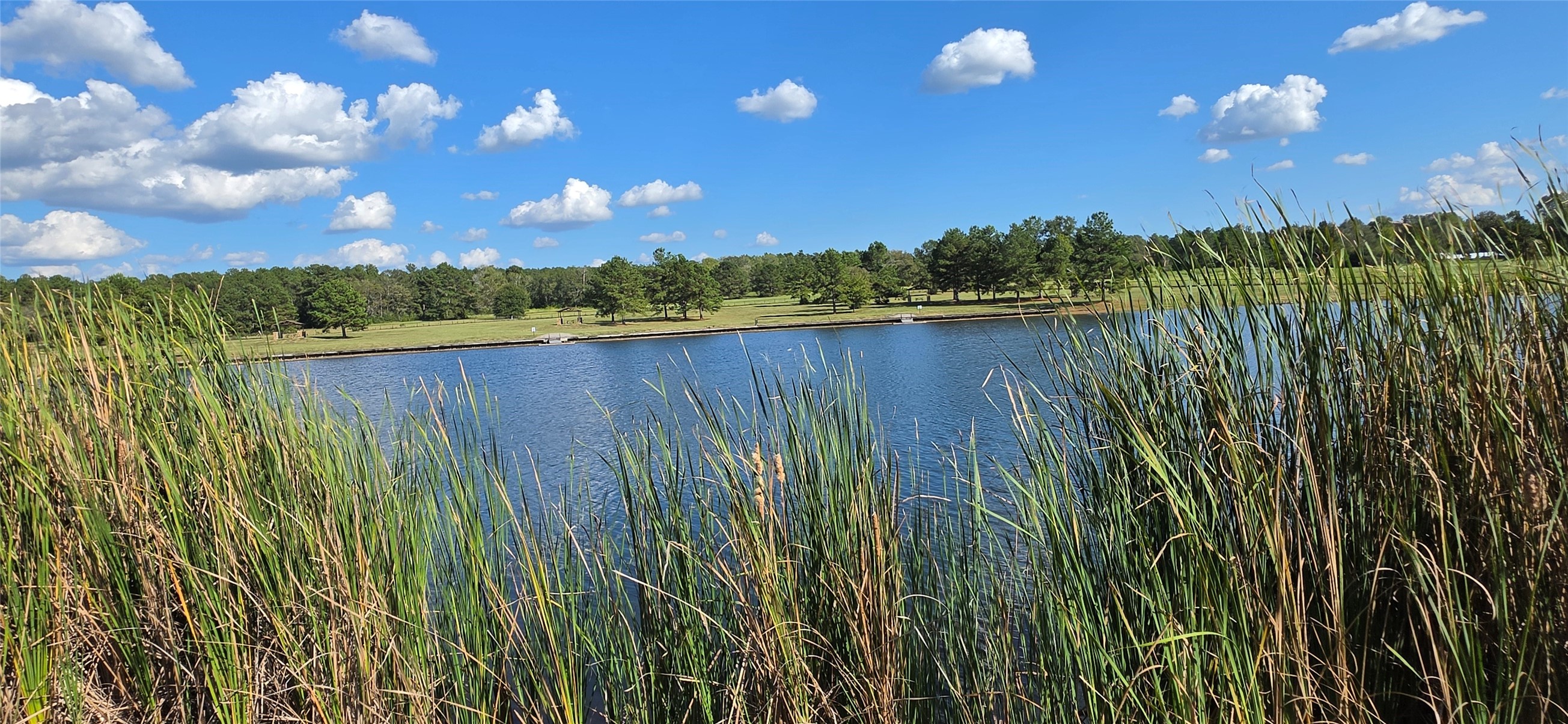 15987 Four Hills Road, Willis, TX 77378