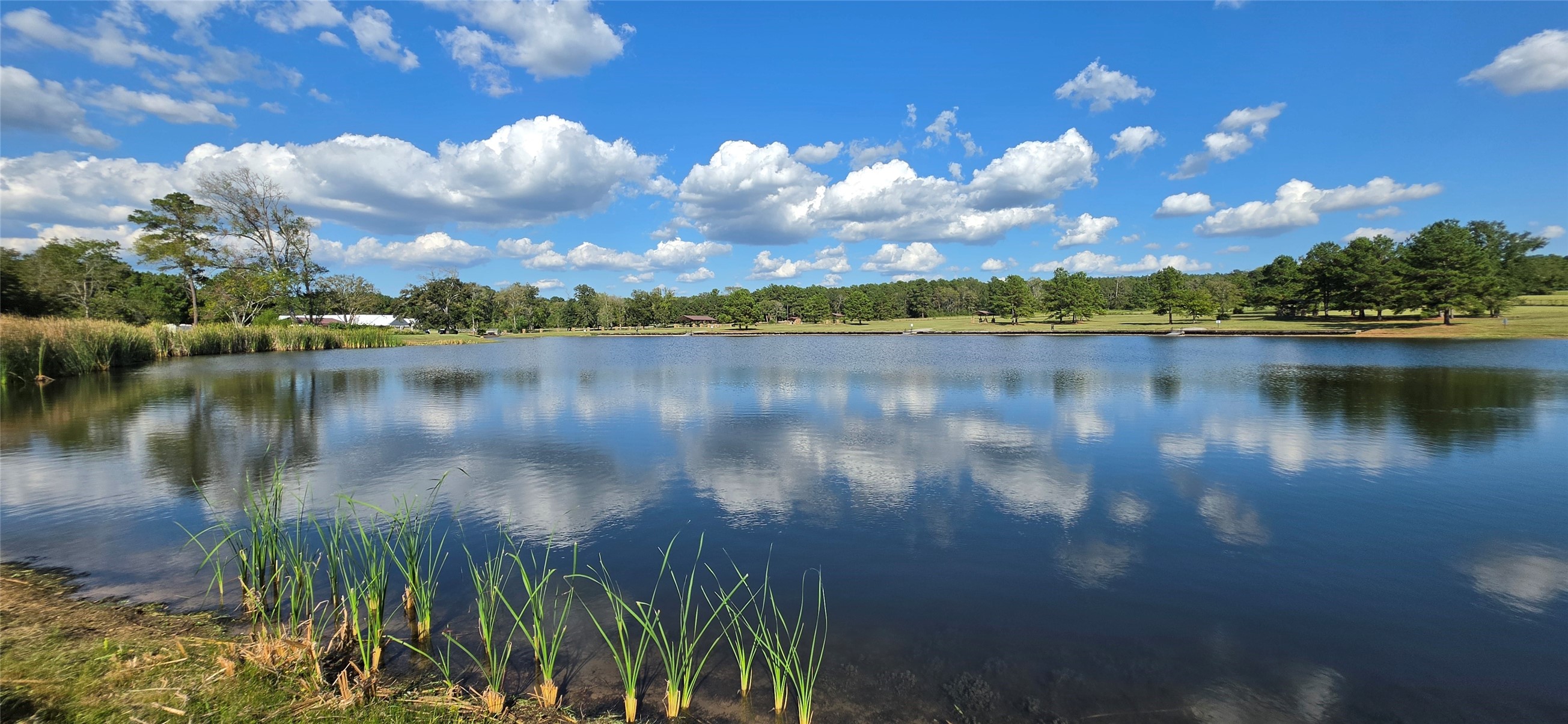15987 Four Hills Road, Willis, TX 77378