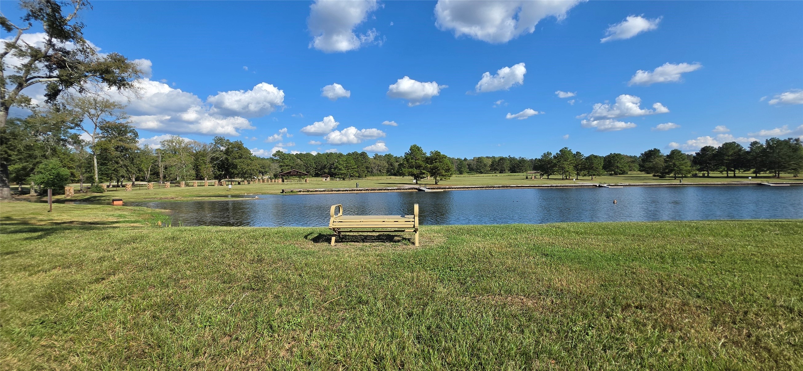 15987 Four Hills Road, Willis, TX 77378
