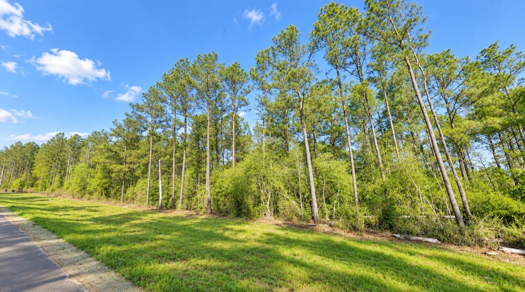15987 Four Hills Road, Willis, TX 77378