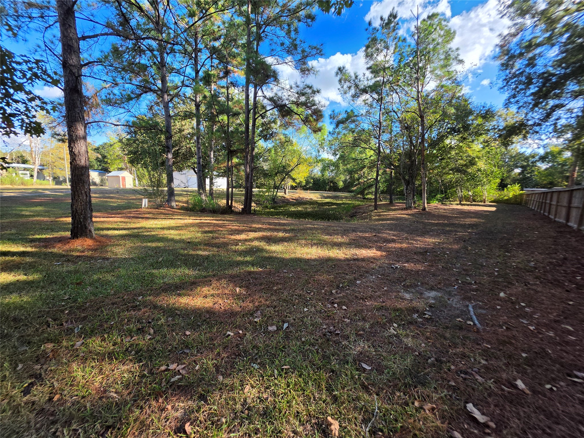 6003 Pine Tree Trail, Alvin, TX 77511 6003 Pine Tree Trail, Alvin, TX 77511
