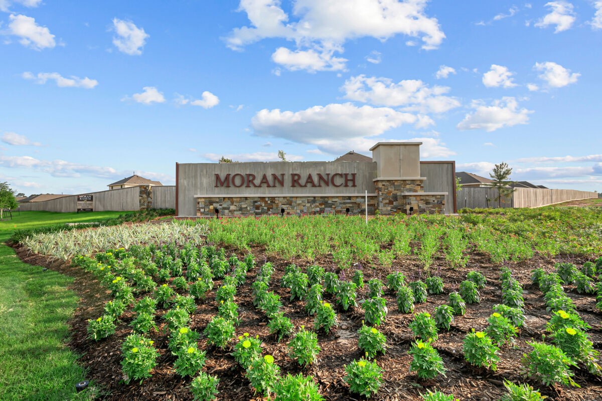 606 Falling Cave Drive, Willis, TX 77378