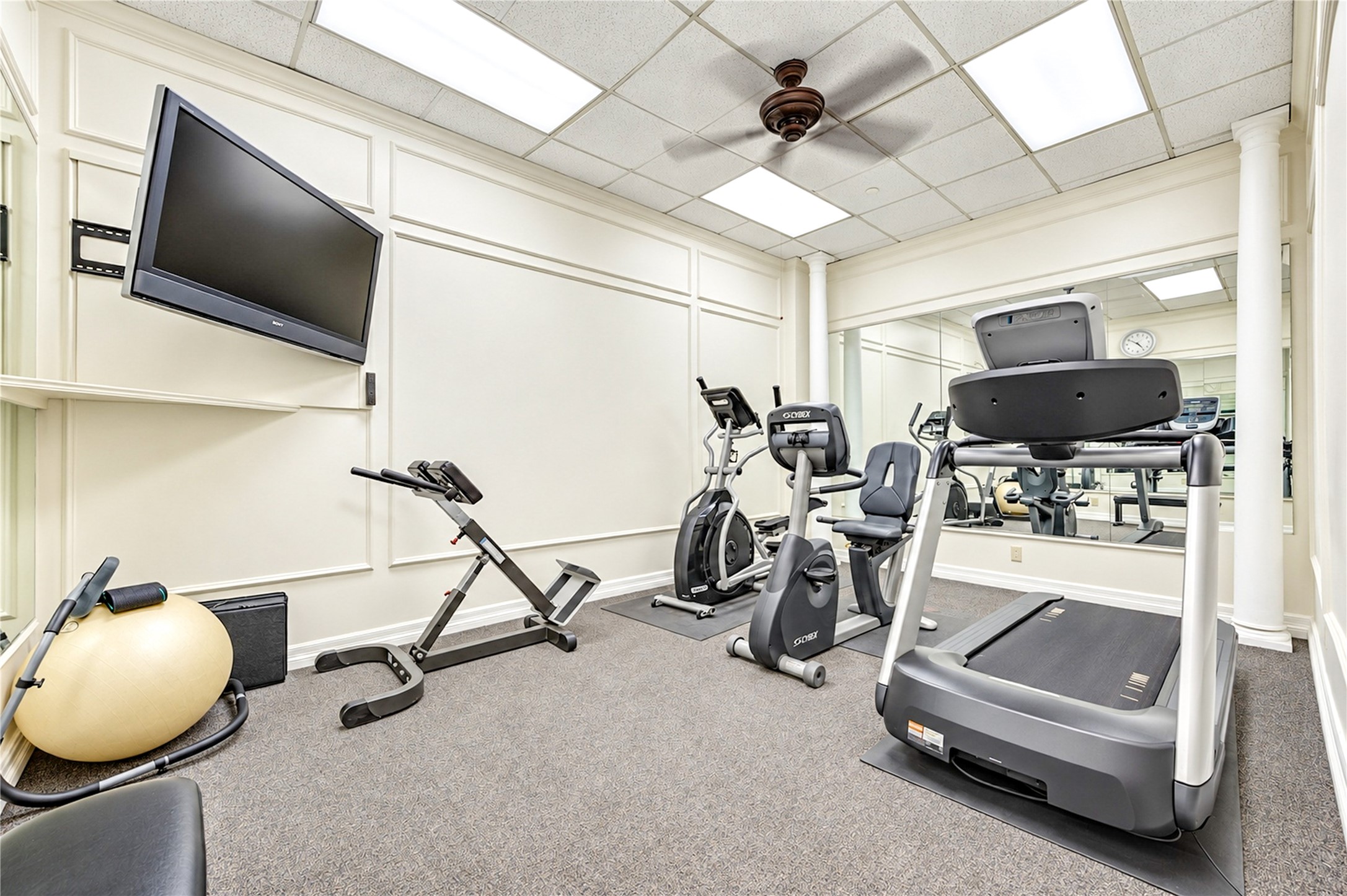 Gym