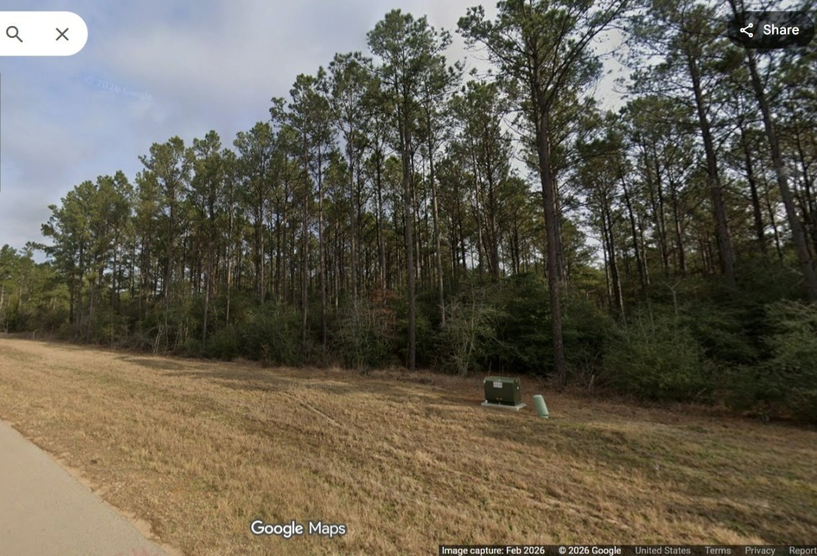 15774 Wooded Trail Way, Willis, TX 77378