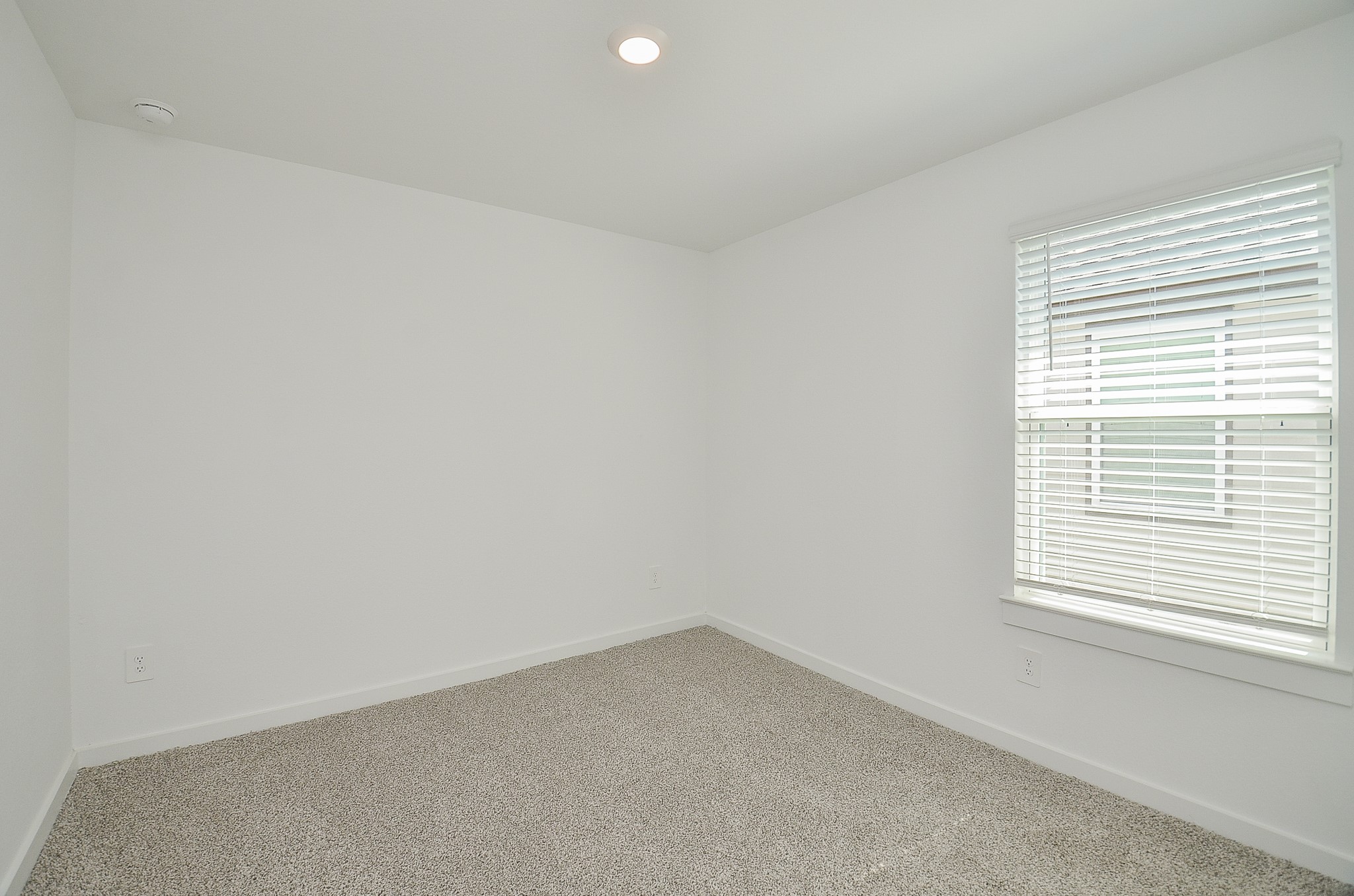 Bright and cozy room featuring soft carpet flooring and a window with blinds, perfect for a bedroom or home office.