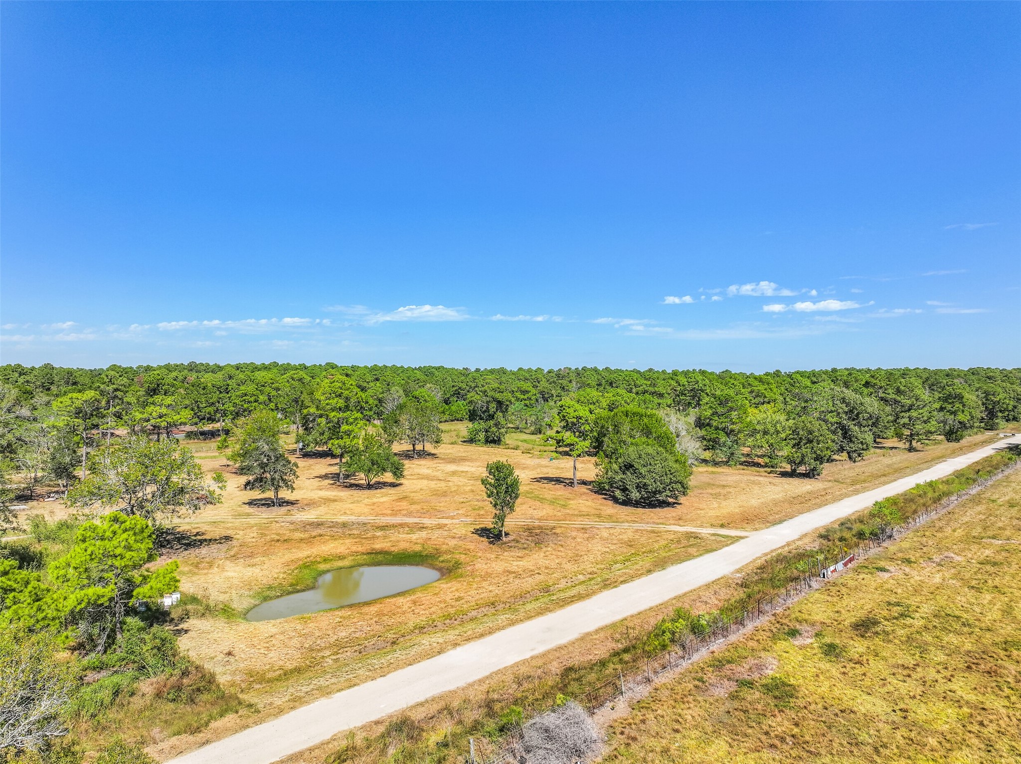 131 Narrow Path Road, Liverpool, TX 77577
