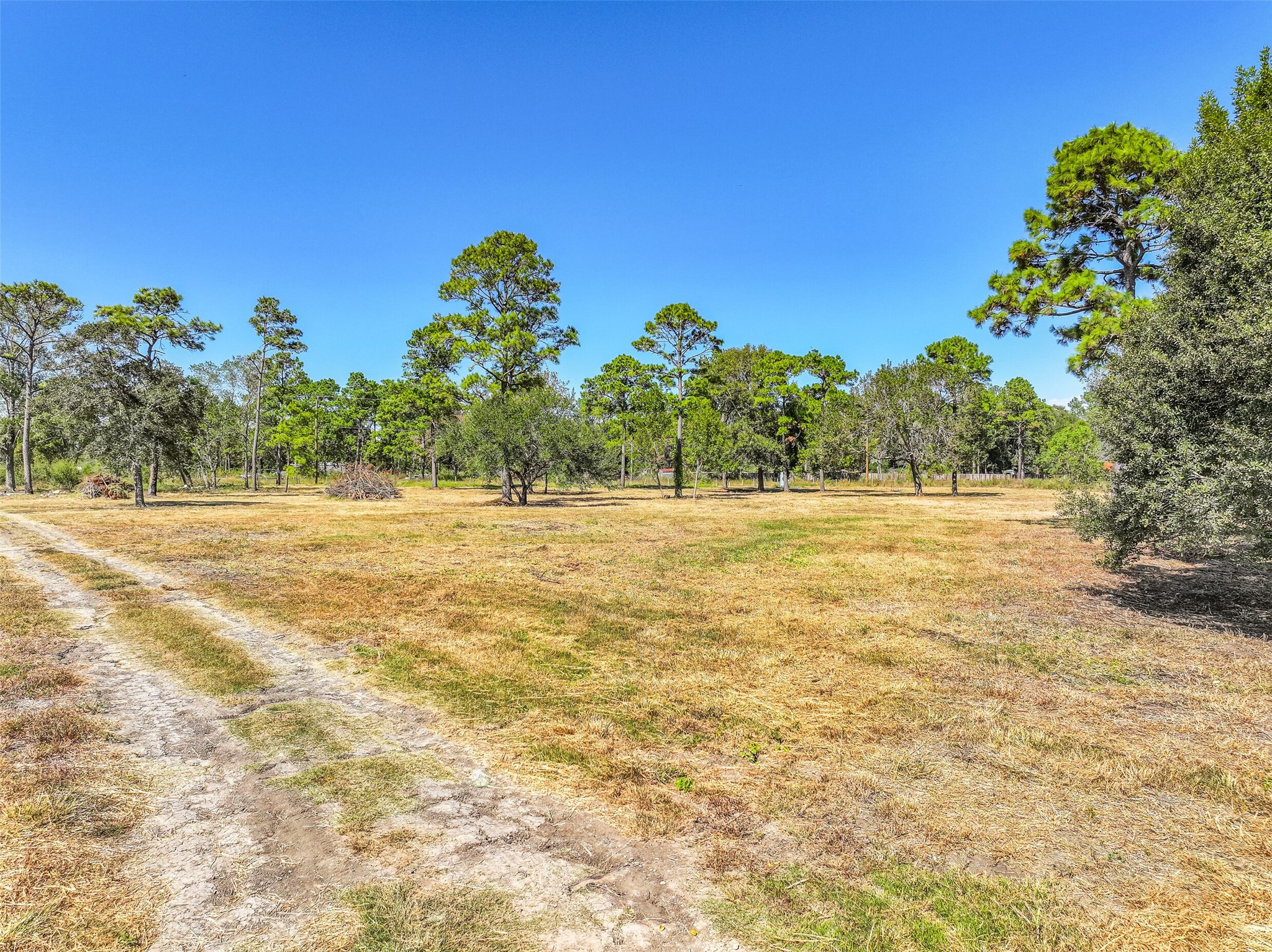 131 Narrow Path Road, Liverpool, TX 77577