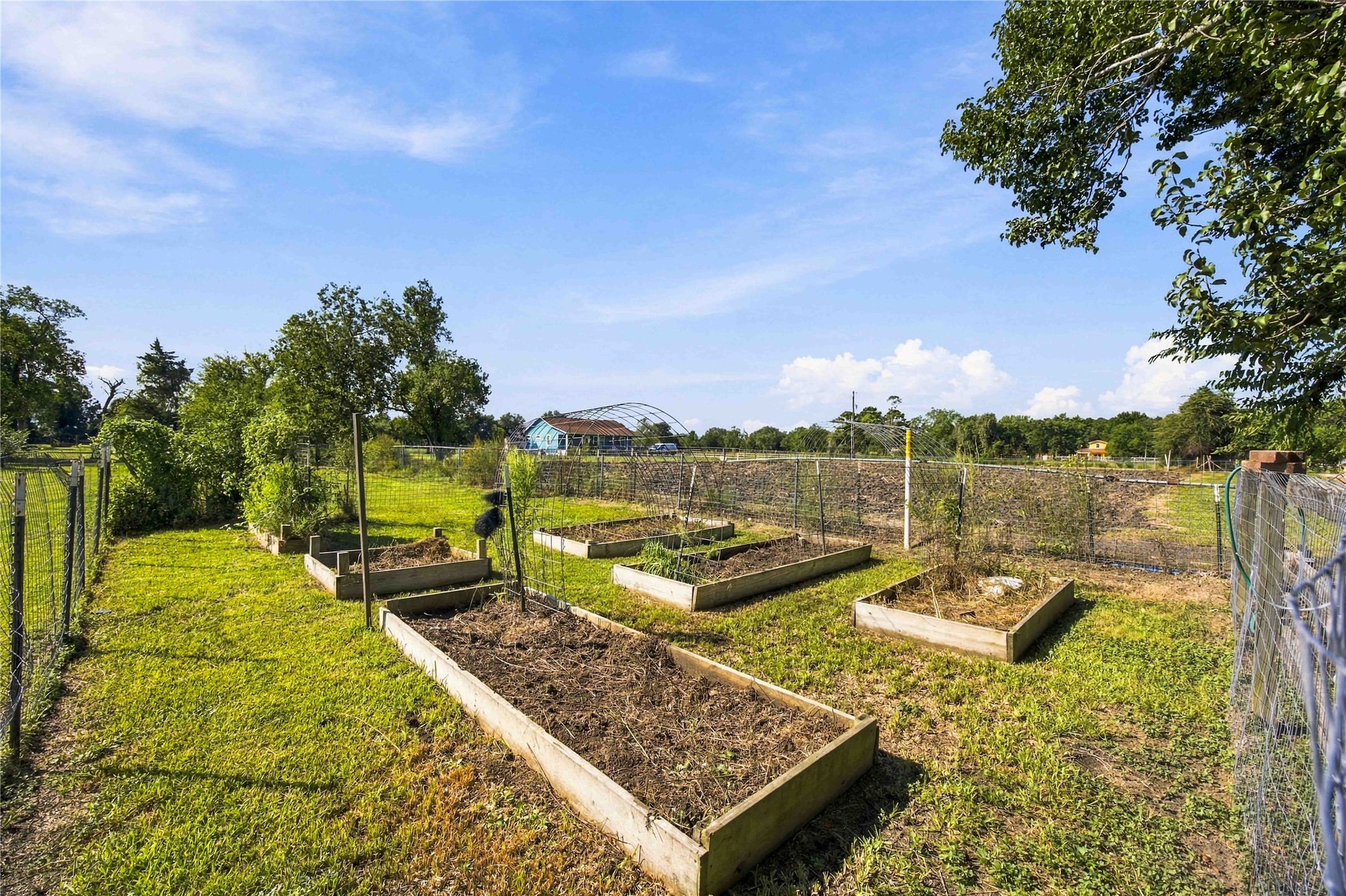 The raise planting beds for your vegetables.