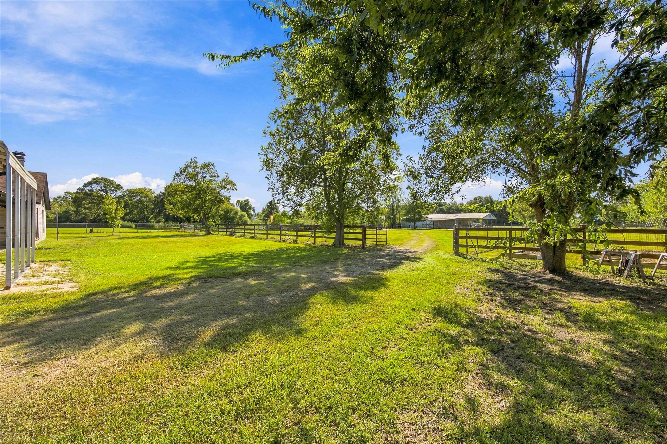Enjoying the trees on the property.