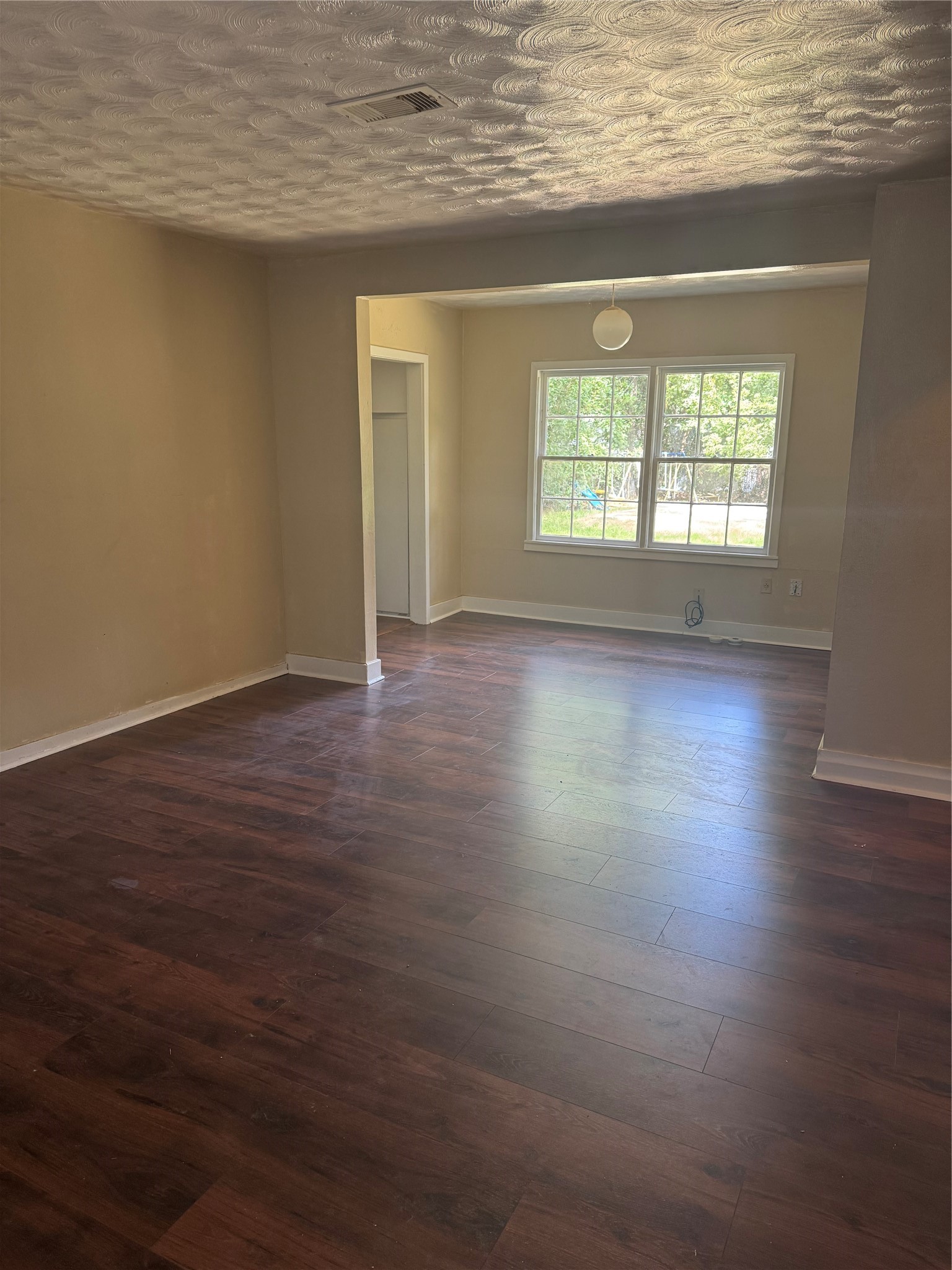 Living room/Dining room combo