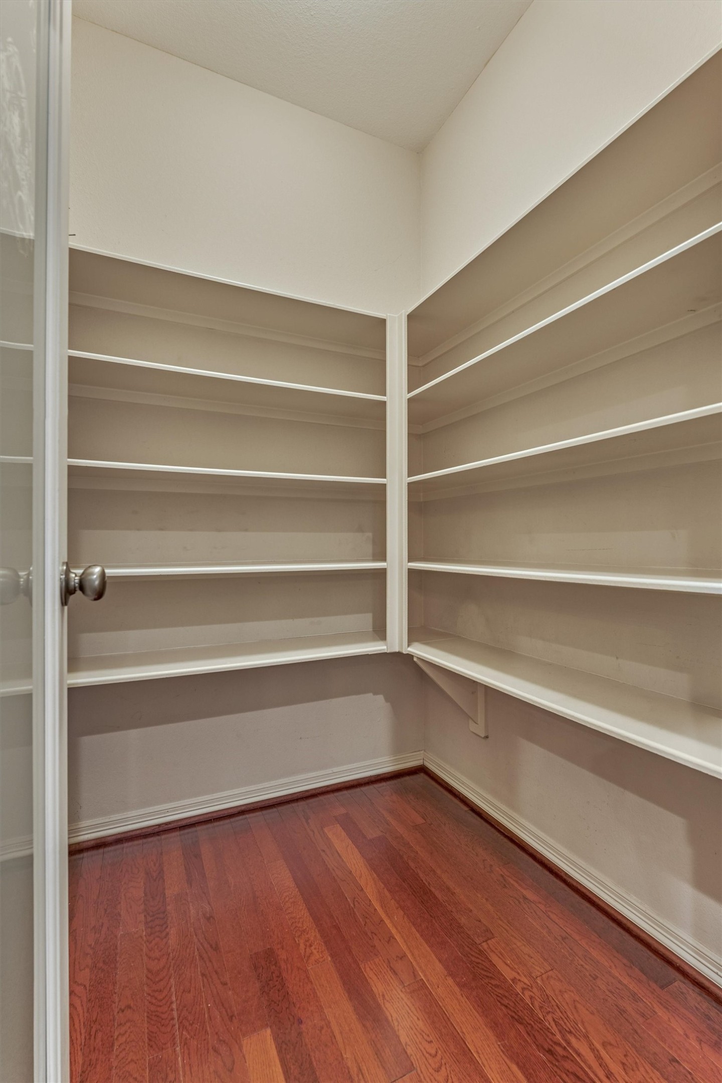 Large walk-in pantry with plenty of storage.
