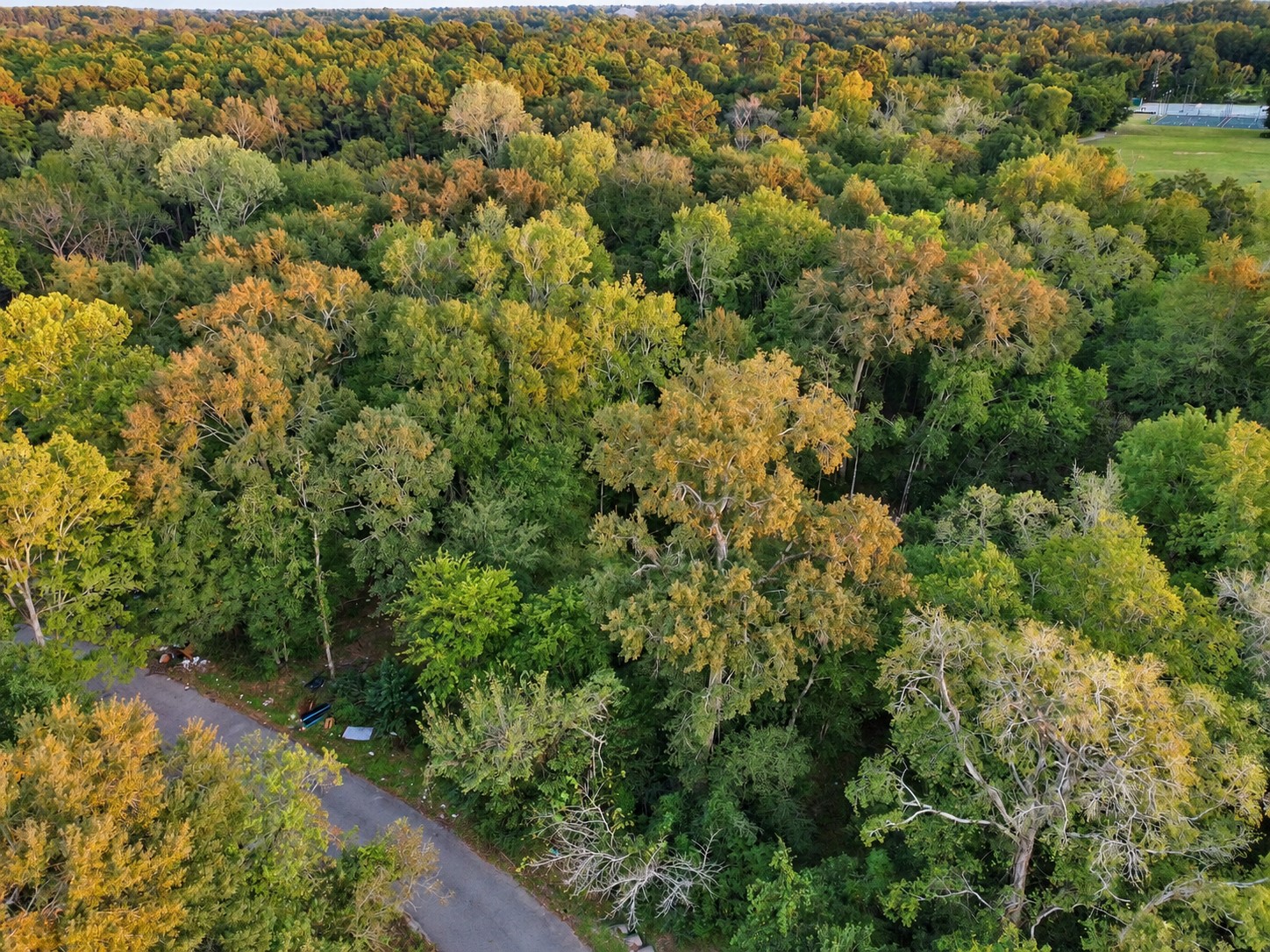 610 South 10th Street, Conroe, TX 77301