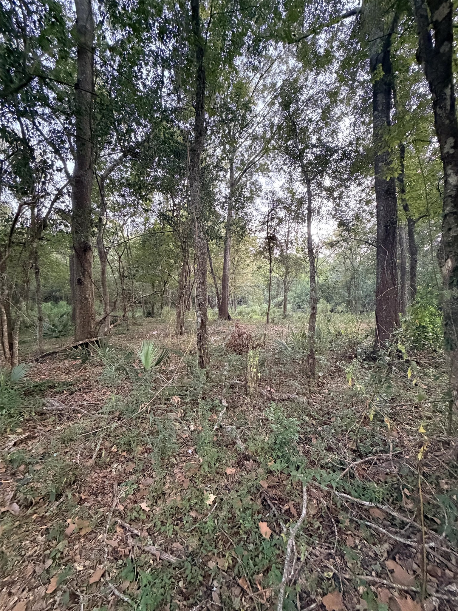 610 South 10th Street, Conroe, TX 77301