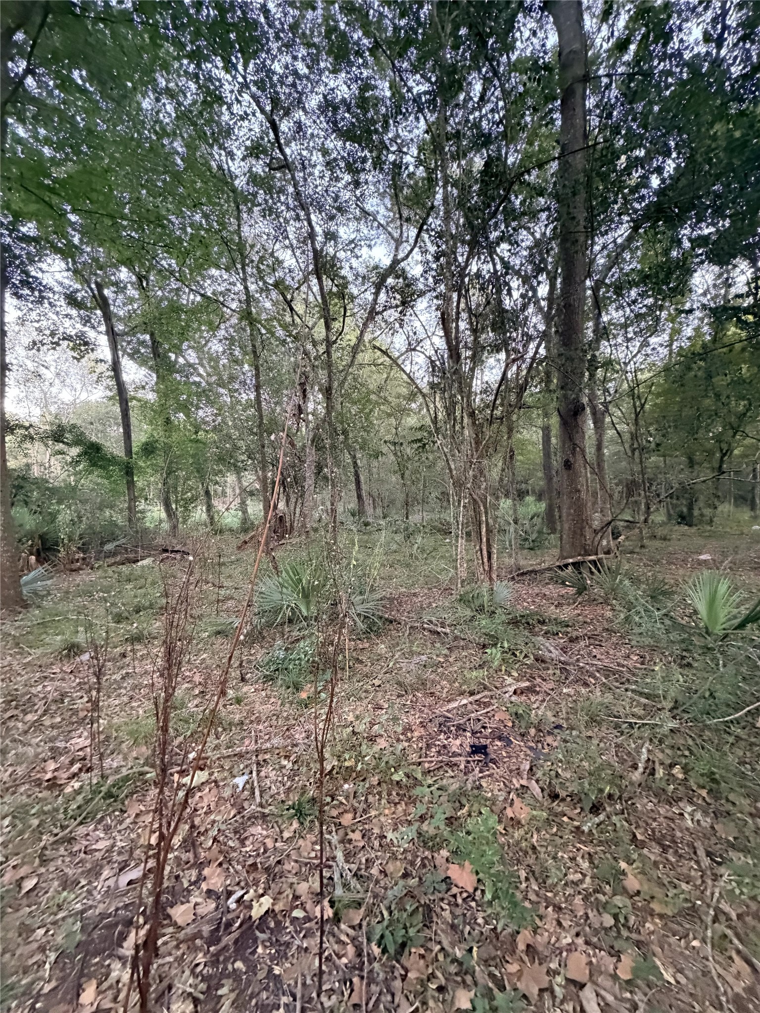 610 South 10th Street, Conroe, TX 77301