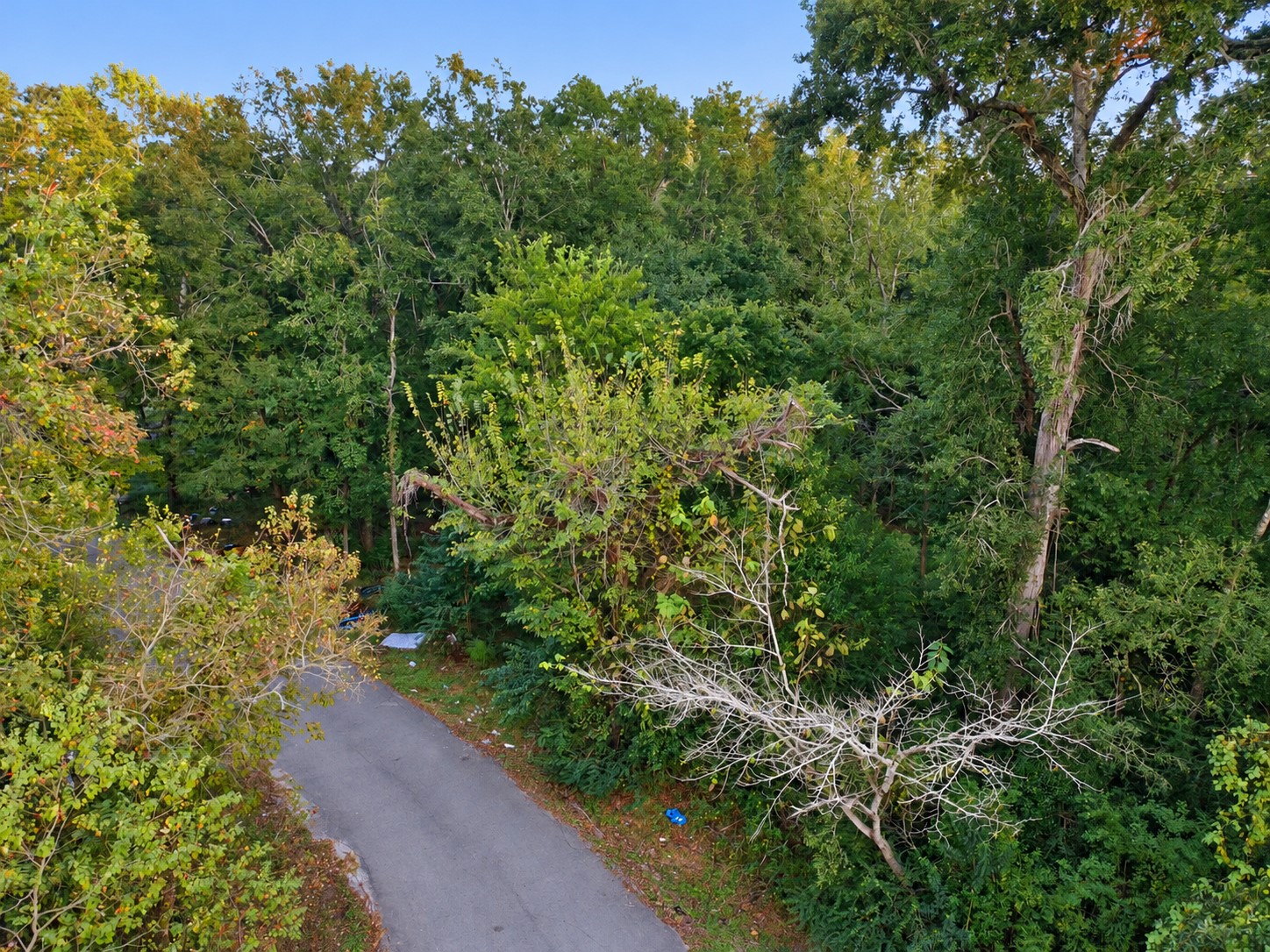 610 South 10th Street, Conroe, TX 77301