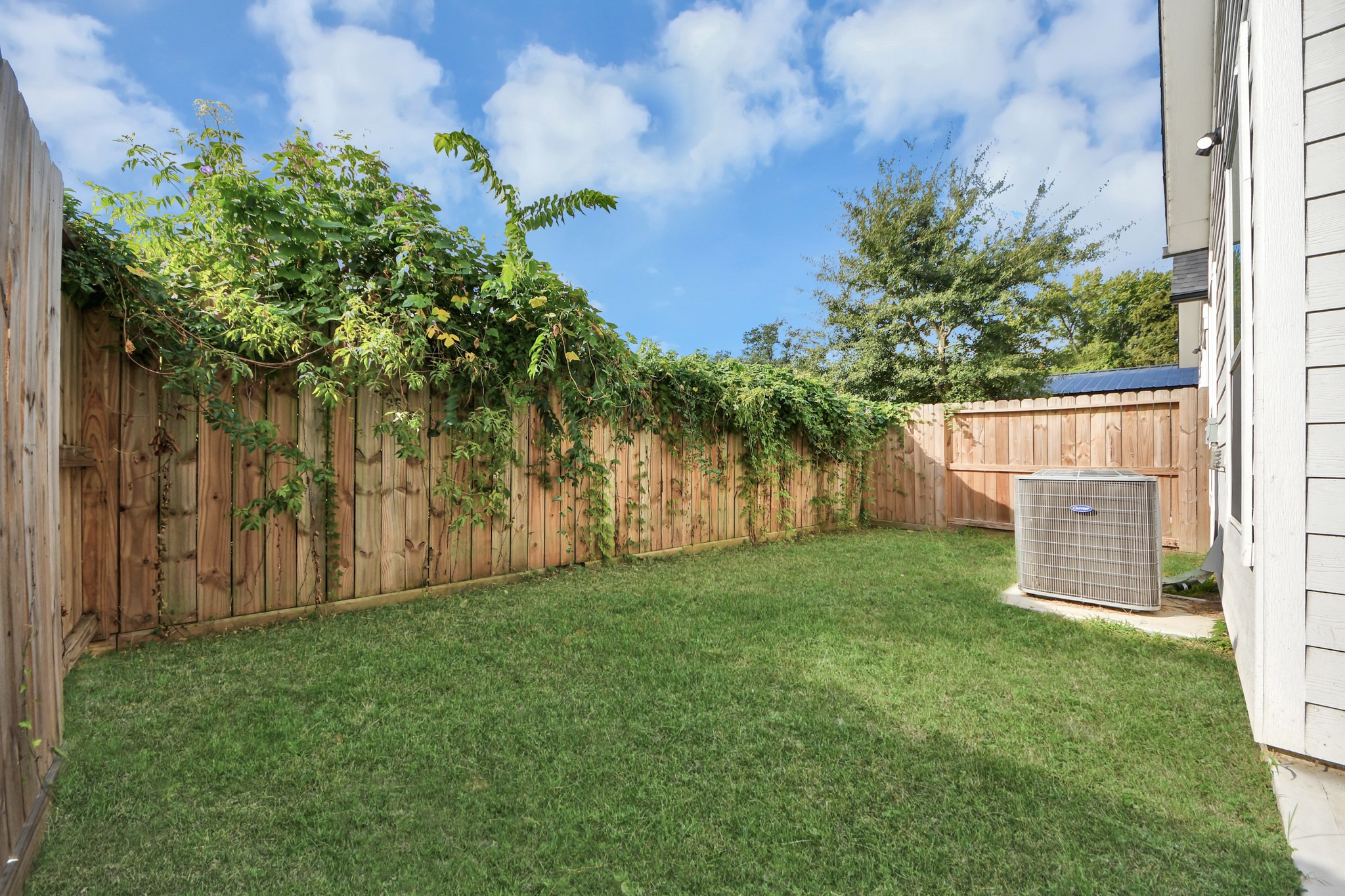 Spacious yard