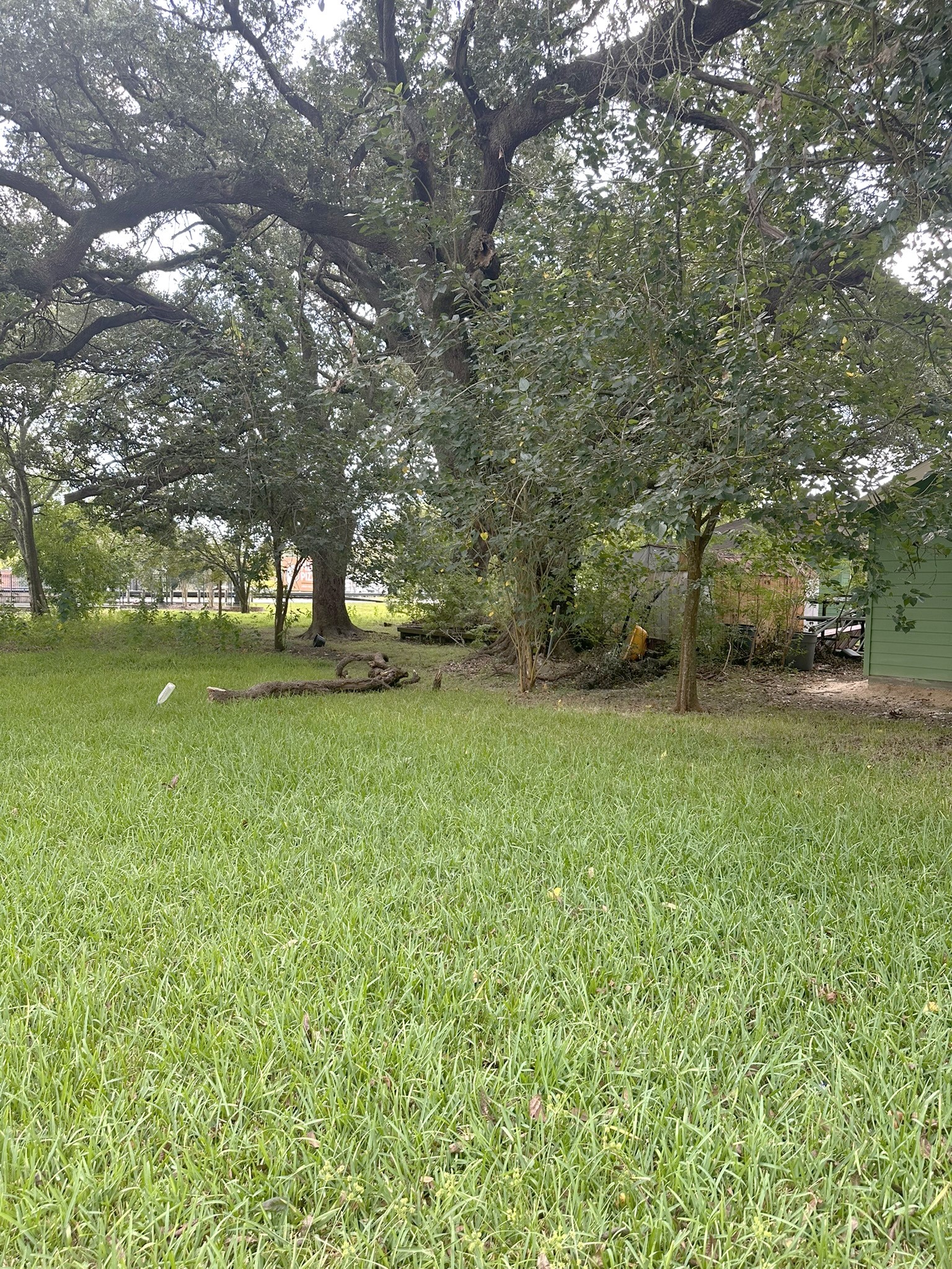 414 Shaw Street, Alvin, TX 77511