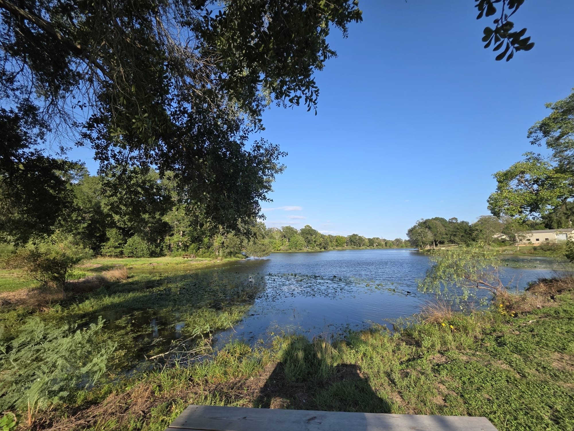 Community lake