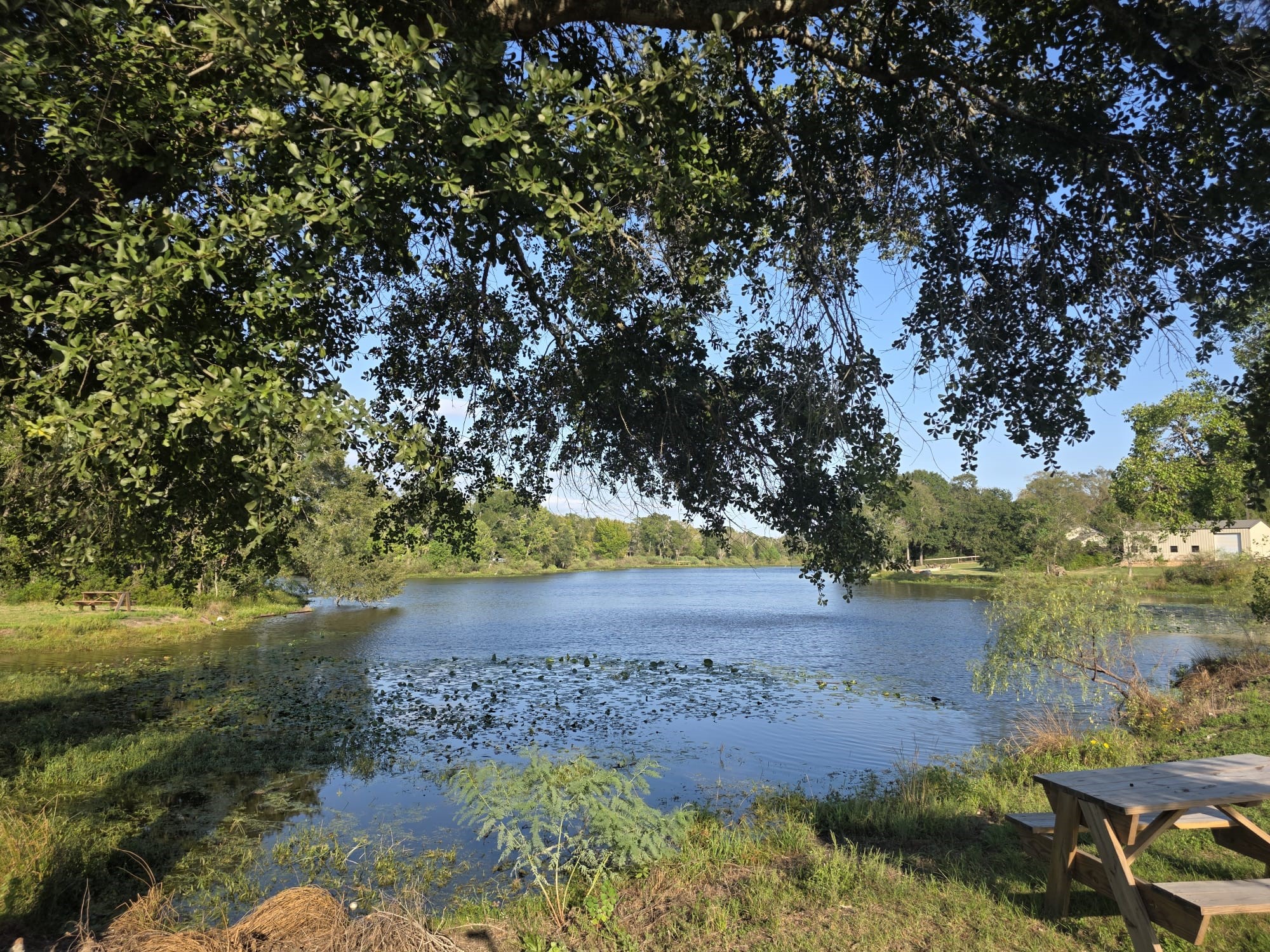 38894 West Drive, Hempstead, TX 77445