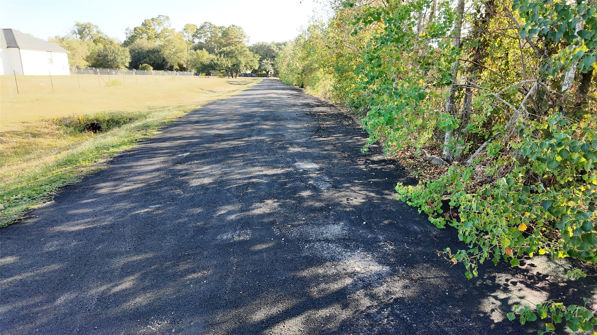 0 Fig Orchard Road, Highlands, TX 77562