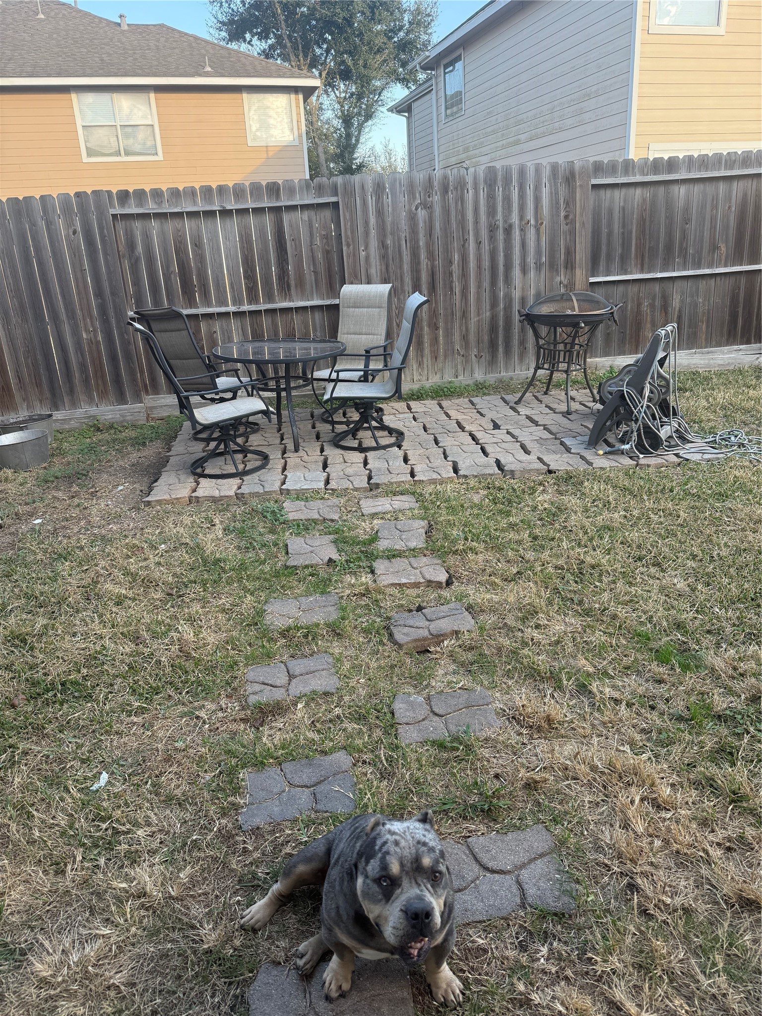Backyard