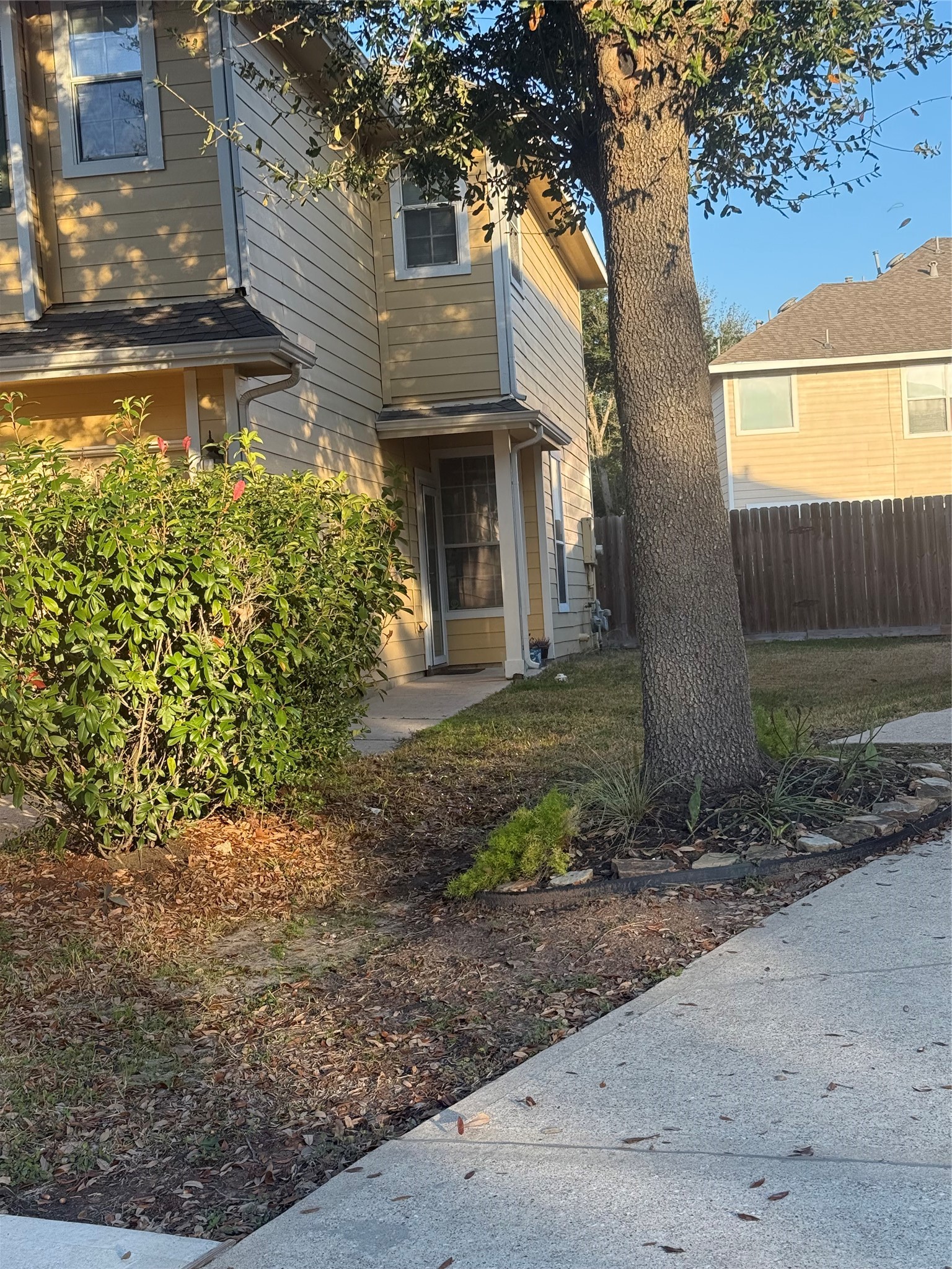 Front yard