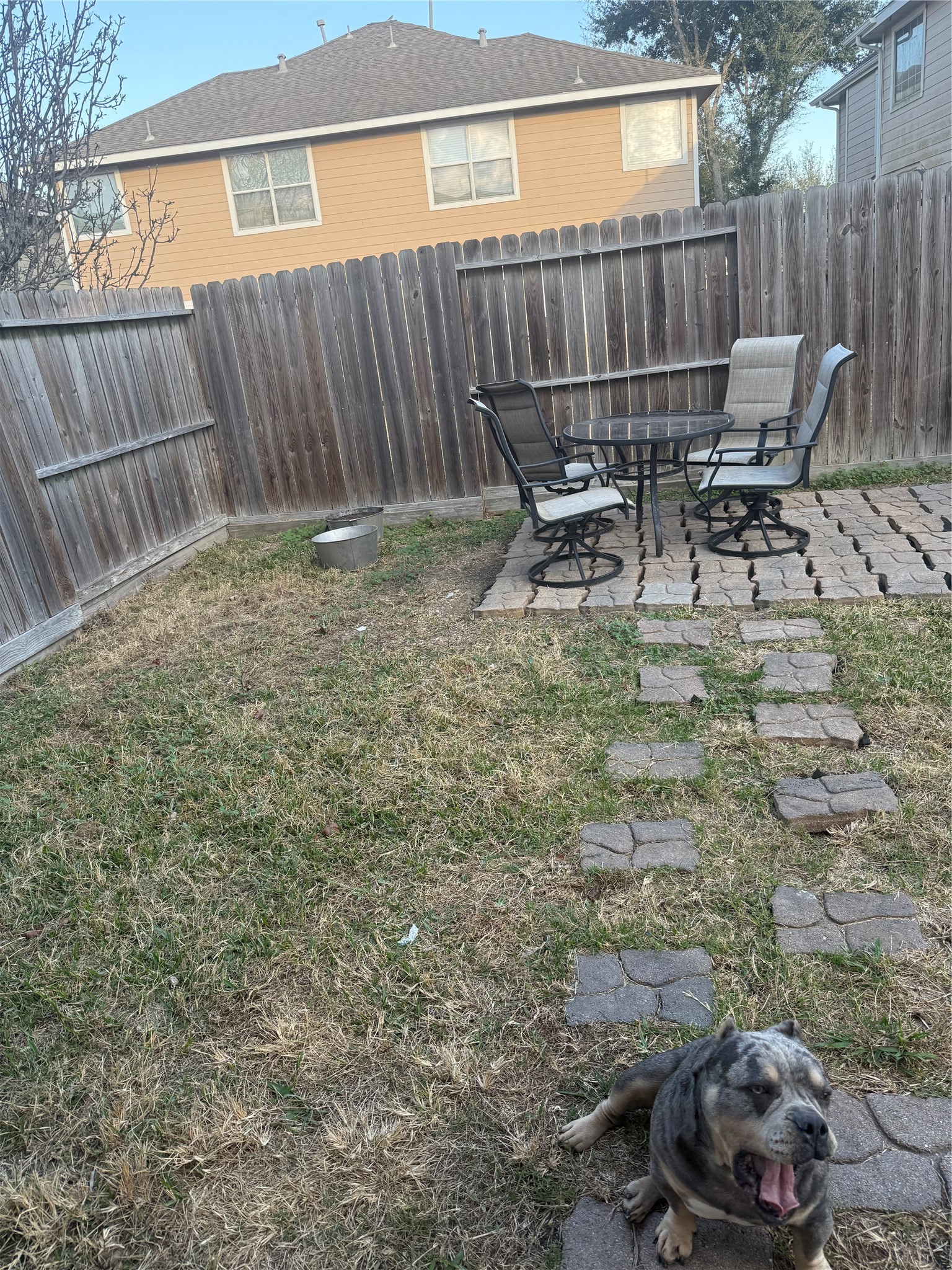 Backyard