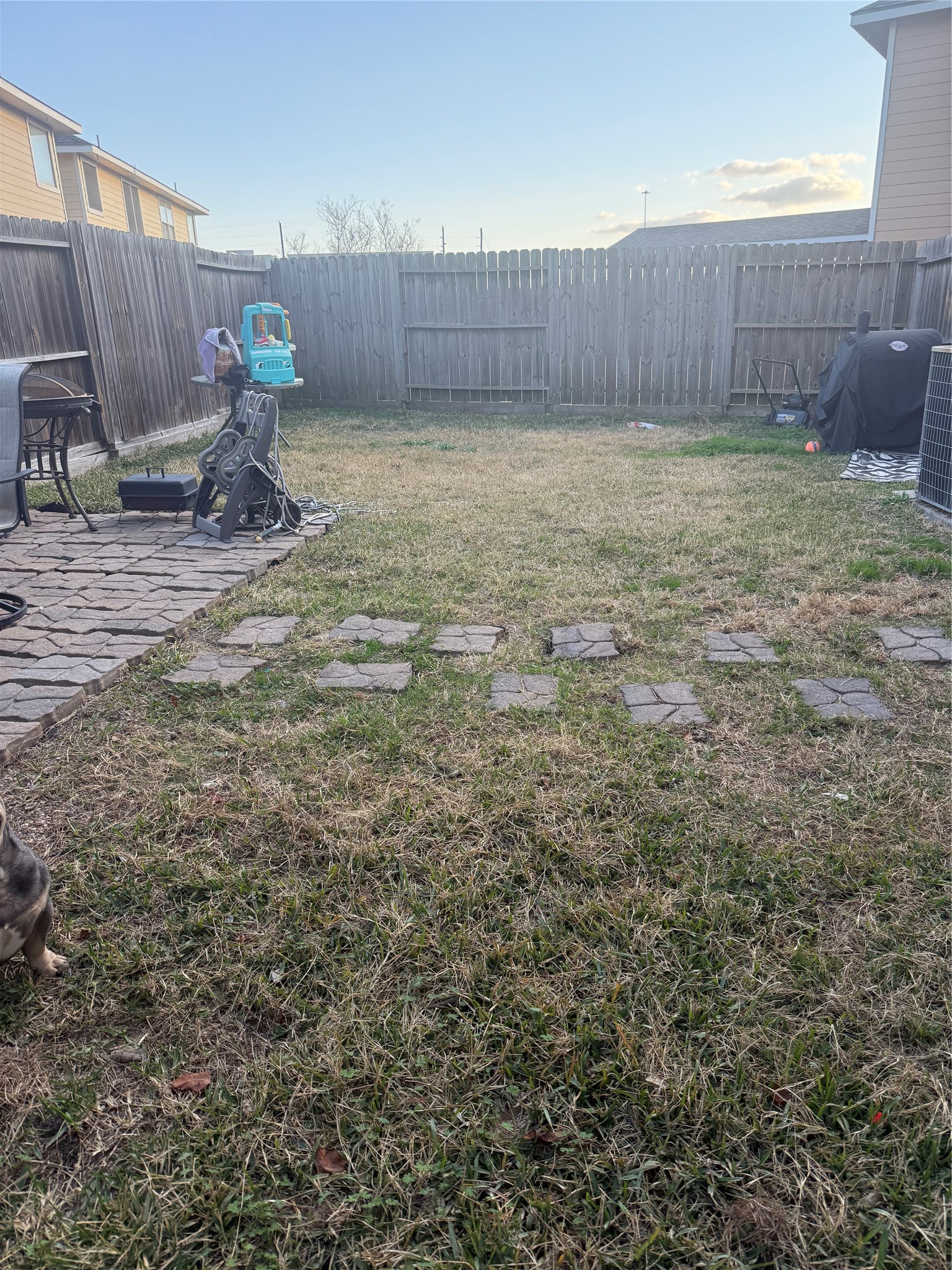 Backyard