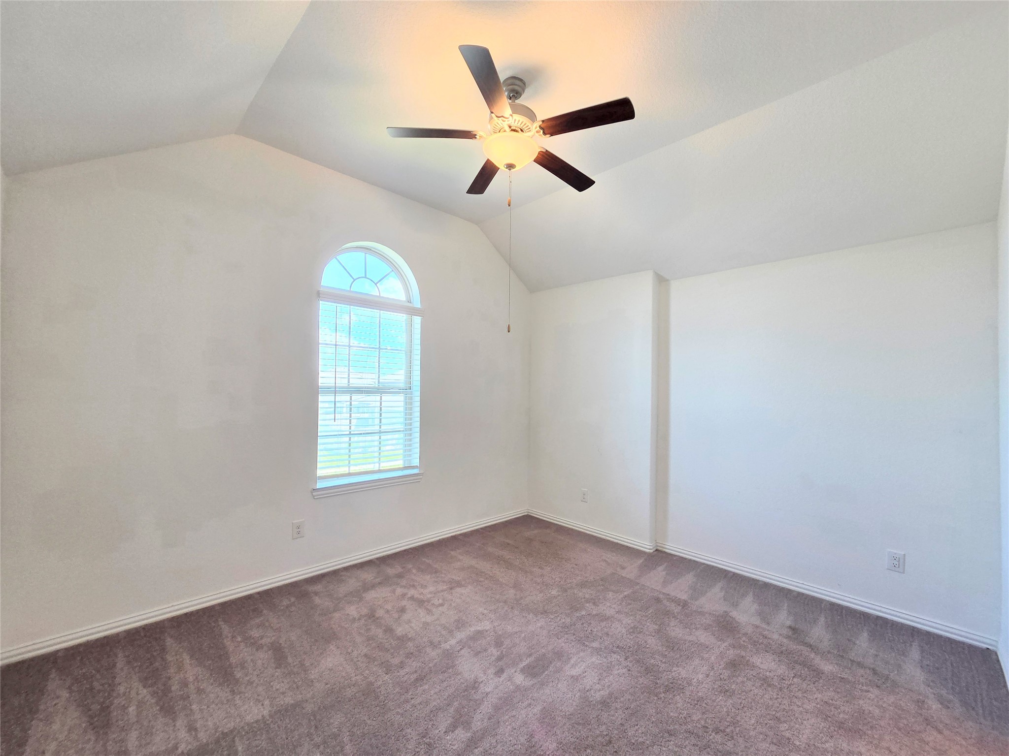 4826 Albany Ridge Lane, Rosharon, TX 77583