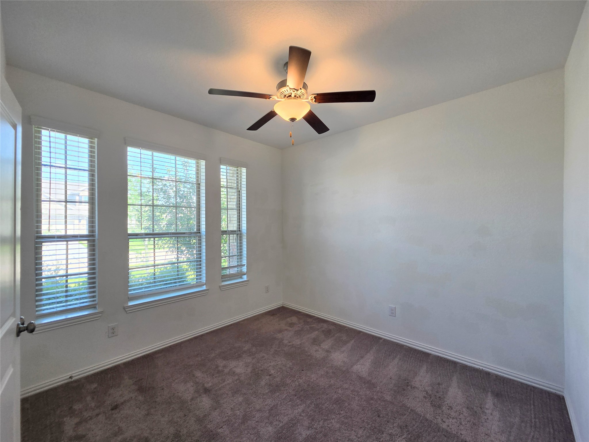4826 Albany Ridge Lane, Rosharon, TX 77583