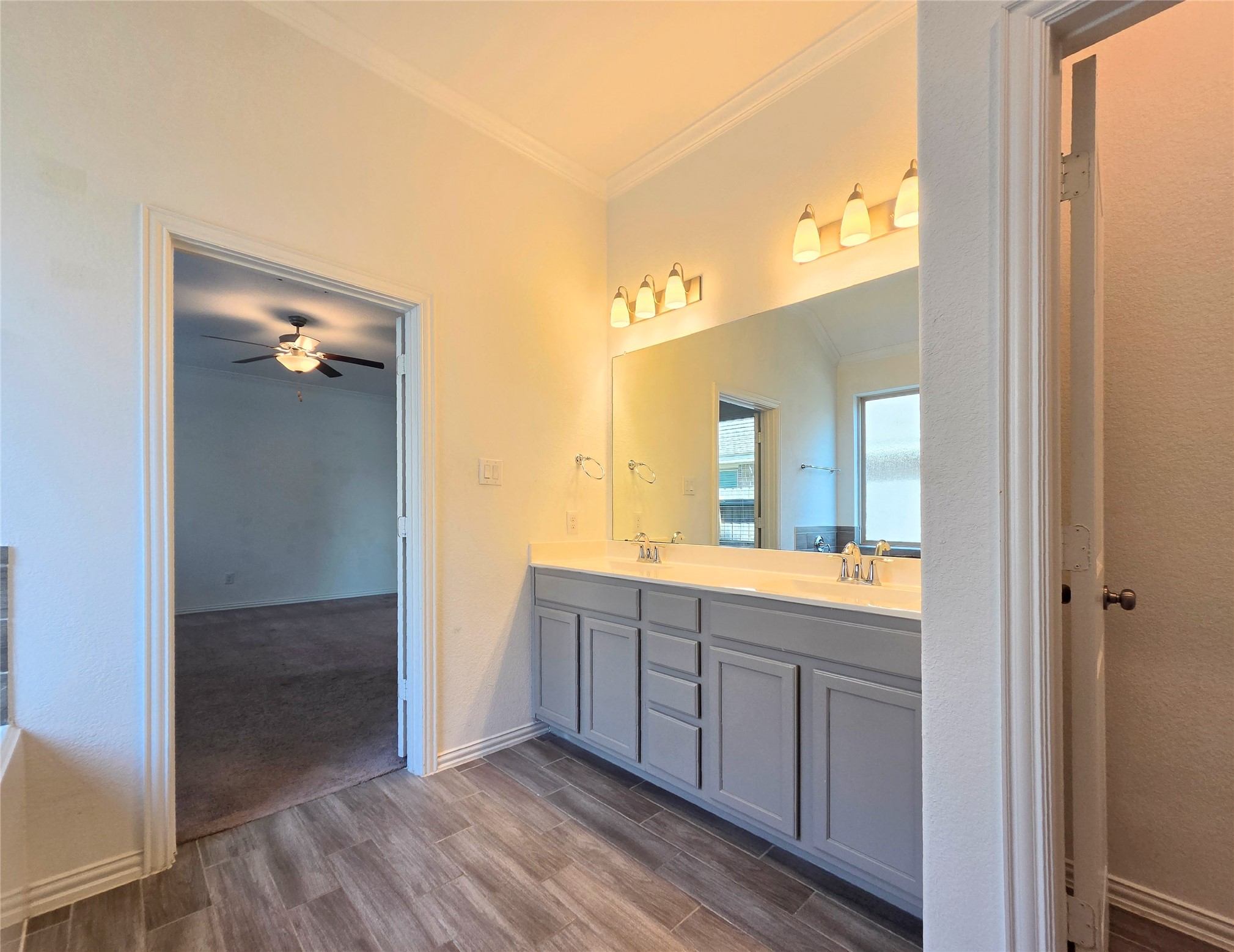 4826 Albany Ridge Lane, Rosharon, TX 77583
