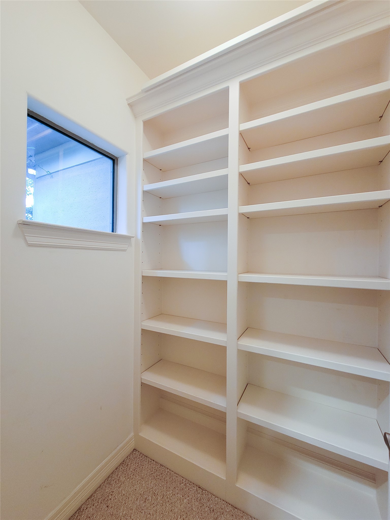 1742 Michigan Street, #F, Houston, TX 77006