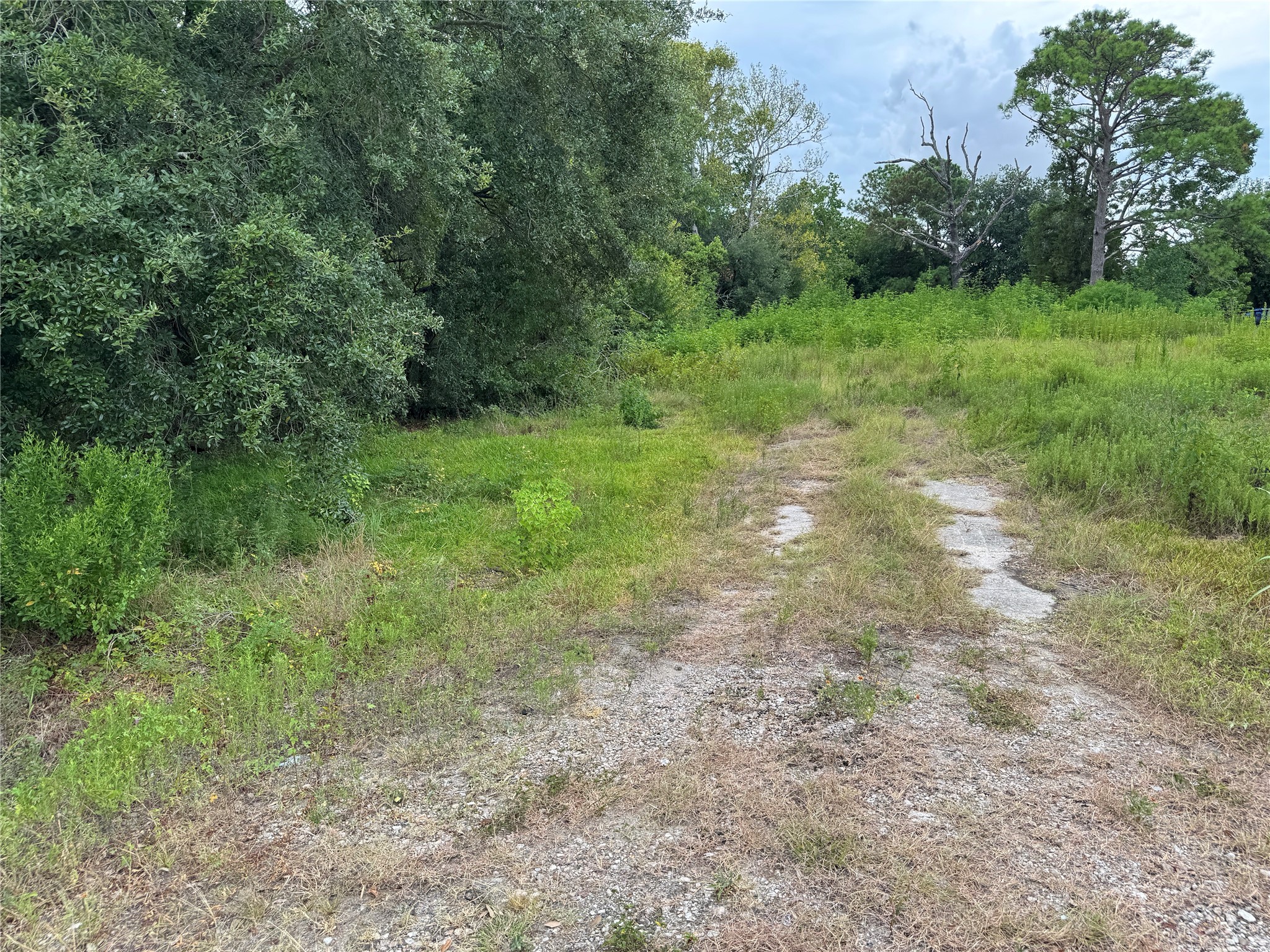 102 S Willow Street, Texas City, TX 77591