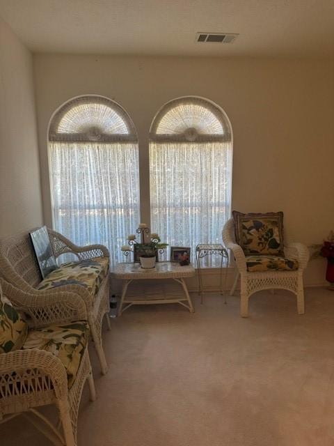 7235 Seton Lake Drive, Houston, TX 77086