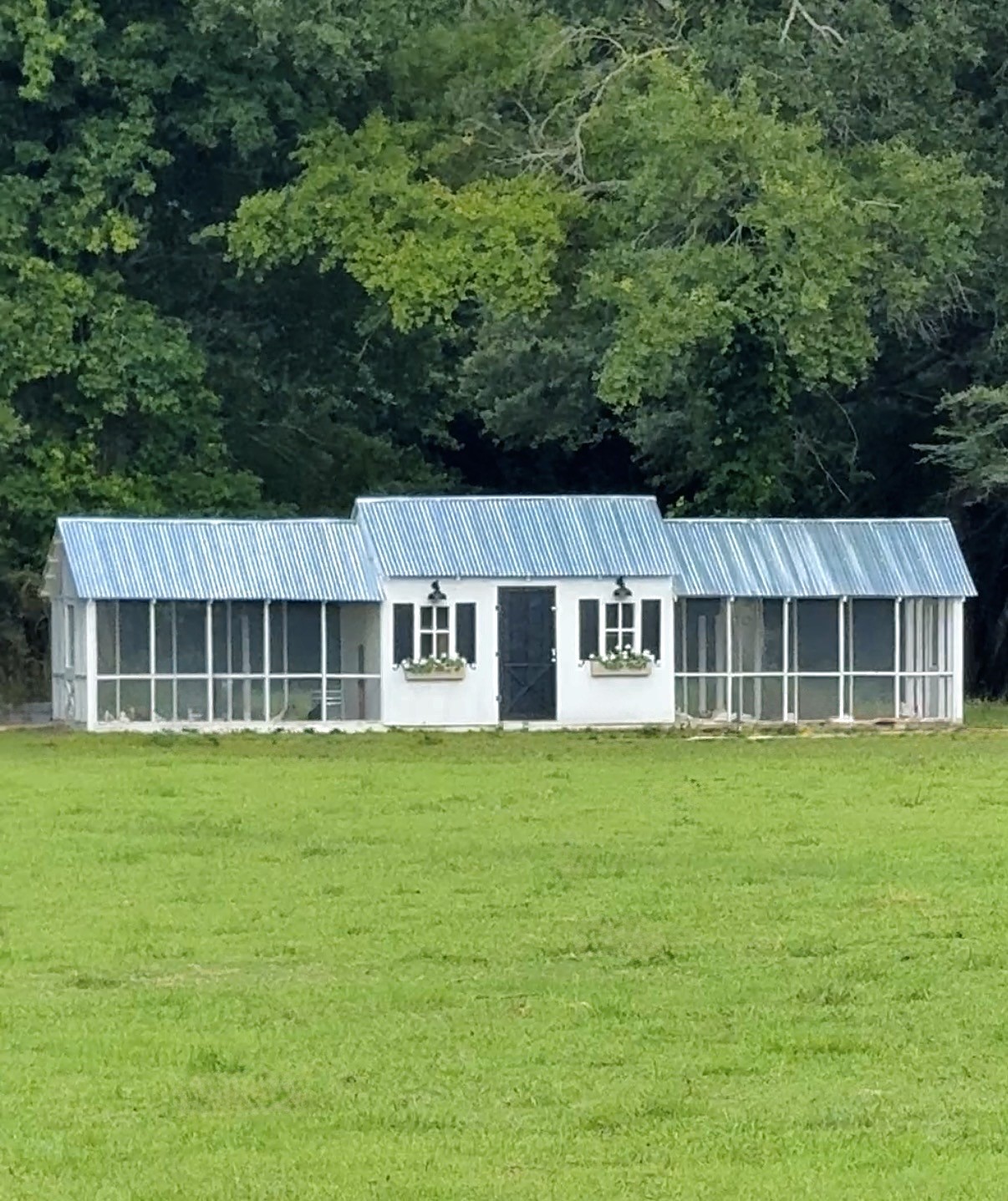 Charming custom chicken coop and storage outbuilding with a metal roof and screened-in sides, nestled amidst lush greenery. Perfect place for those hens to roost after a great day of free ranging.