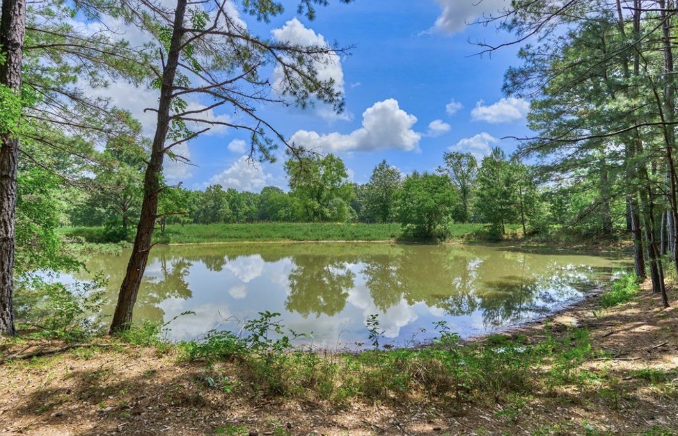 Tranquil pond surrounded by mature trees and serene pasture. Imagine riding your toys down here to fish for the afternoon!