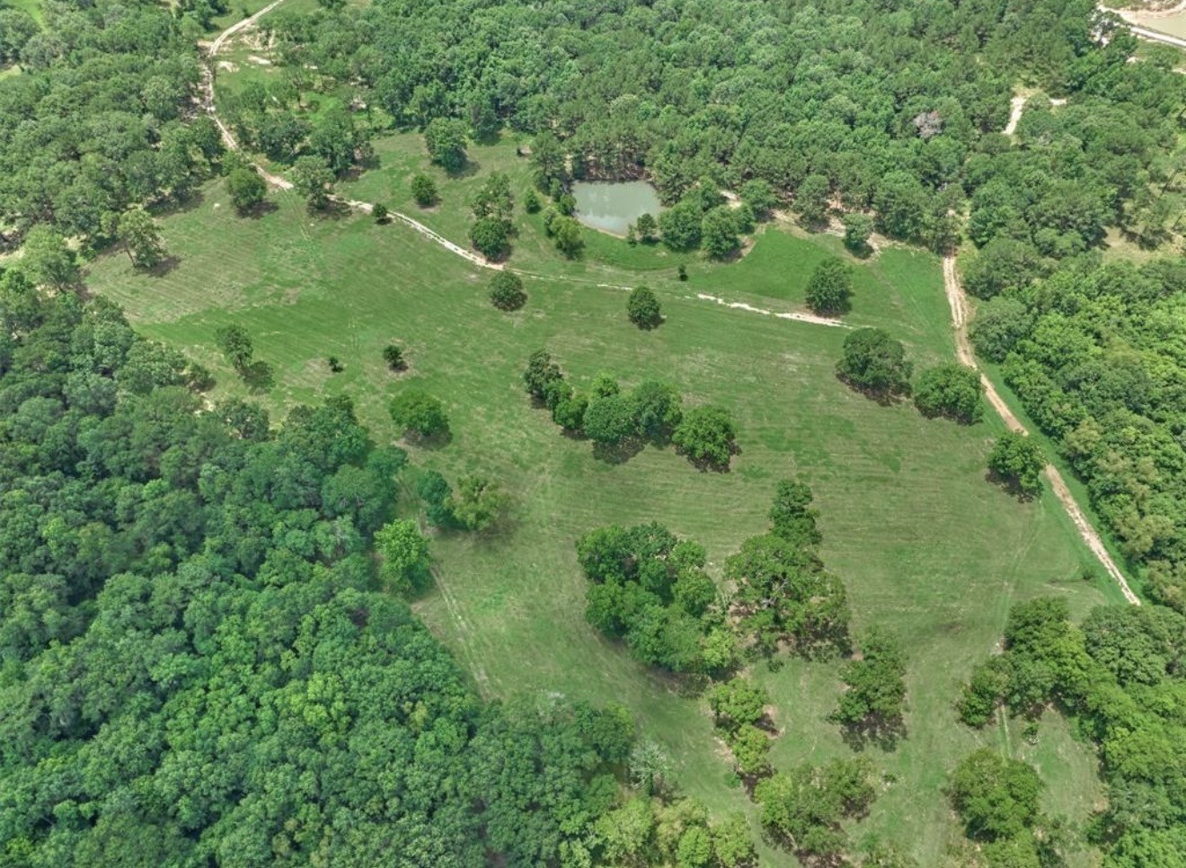 Expansive acreage with rolling hills, mature trees, serene ponds, offering a perfect setting for a private retreat or ranch.
