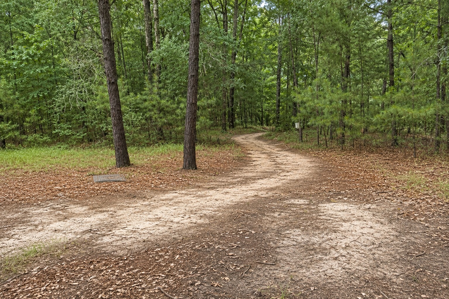 Enjoy exploring the property's private trails, perfect for biking, walking, jogging, ATV rides, or simply taking in the beauty of nature.