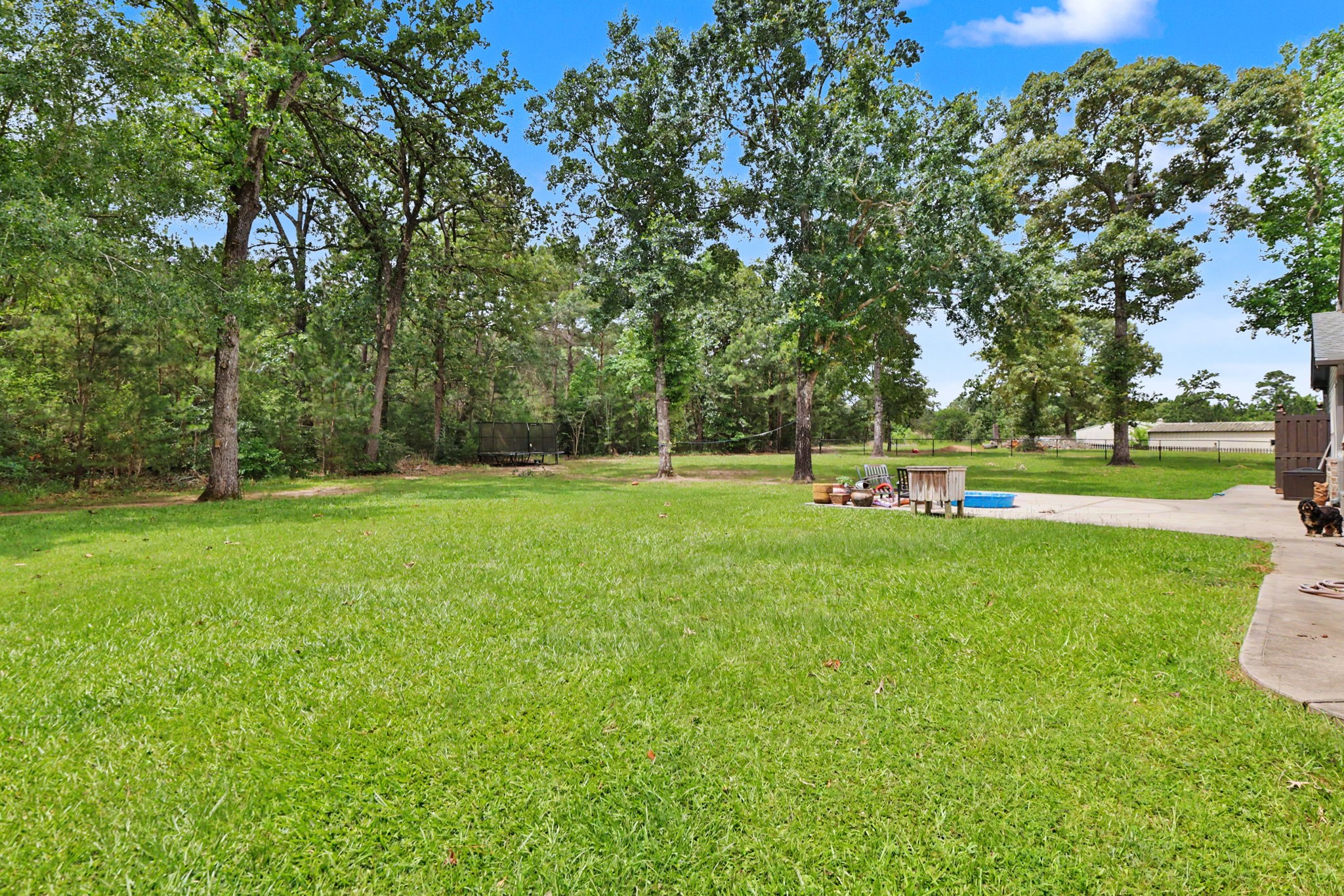 With mature trees, open green space, and plenty of room to expand, this backyard is ready for your visionwhether that's a pool, a shop, or both.
