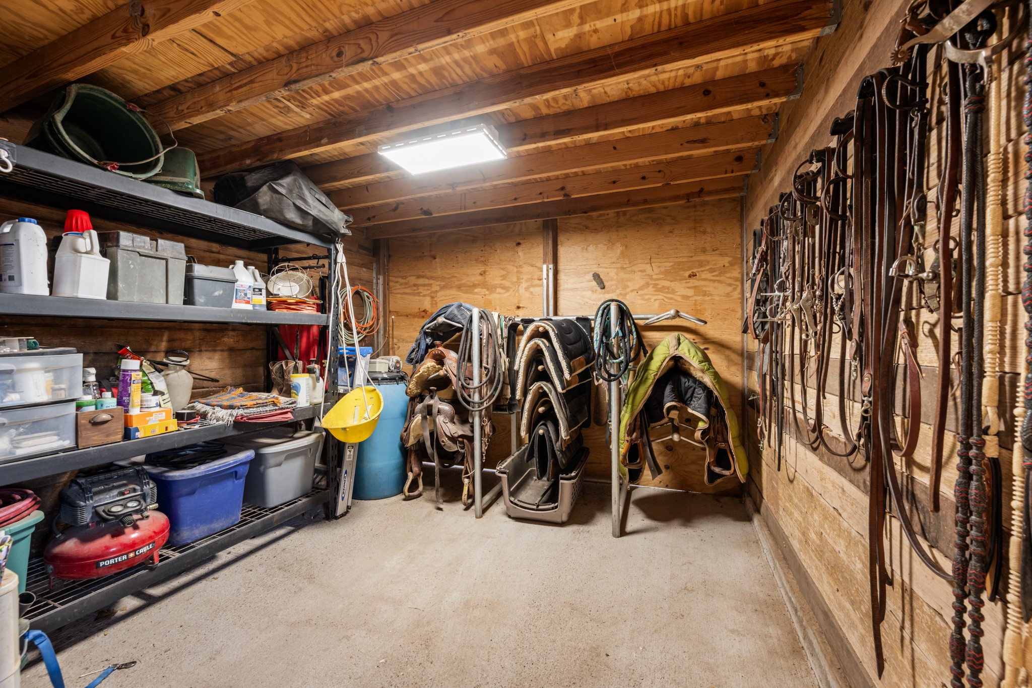 Organized tack room featuring multiple saddle racks, wall-mounted bridle and rein storage, built-in shelving, and space for riding equipment and horse care supplies.