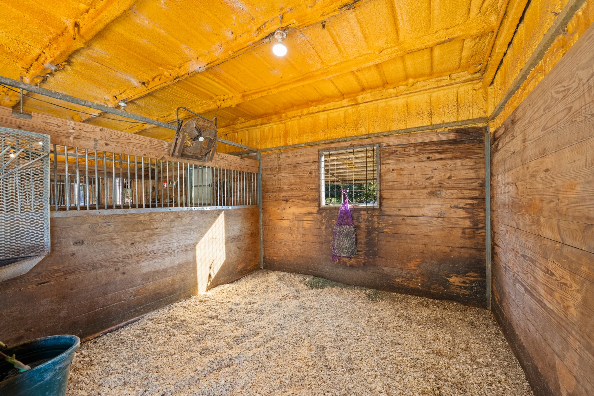 Well-appointed horse stall features sturdy wood walls, metal-bar partitions, overhead lighting, and a shavings-covered, rubber matted floor, offering a practical space for equine care.