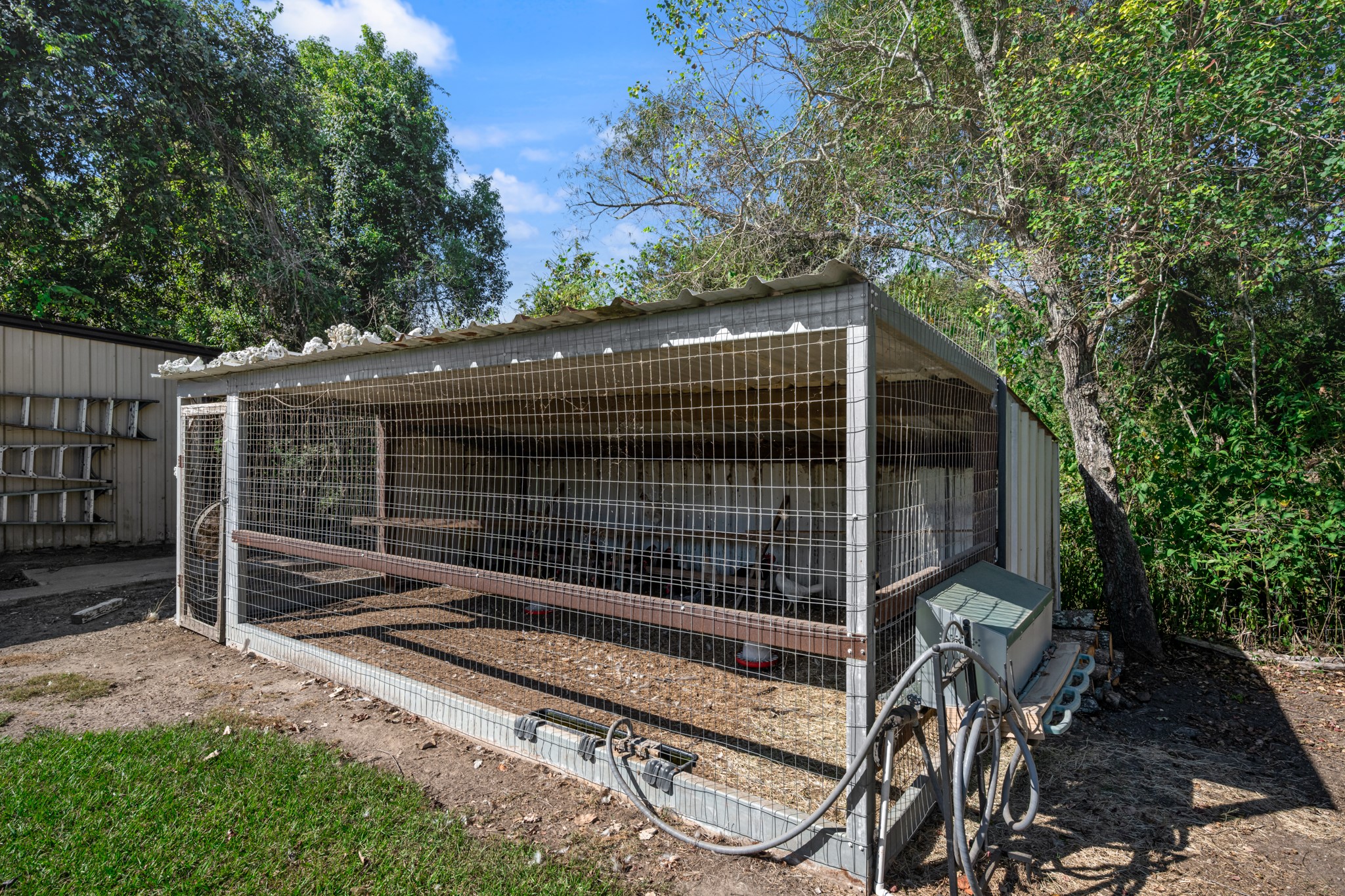 Covered poultry enclosure featuring wire-mesh fencing, a metal roof, and an enclosed shelter area. The spacious setup provides a dedicated area for raising chickens or other small poultry, adding to the property's versatile country living amenities.