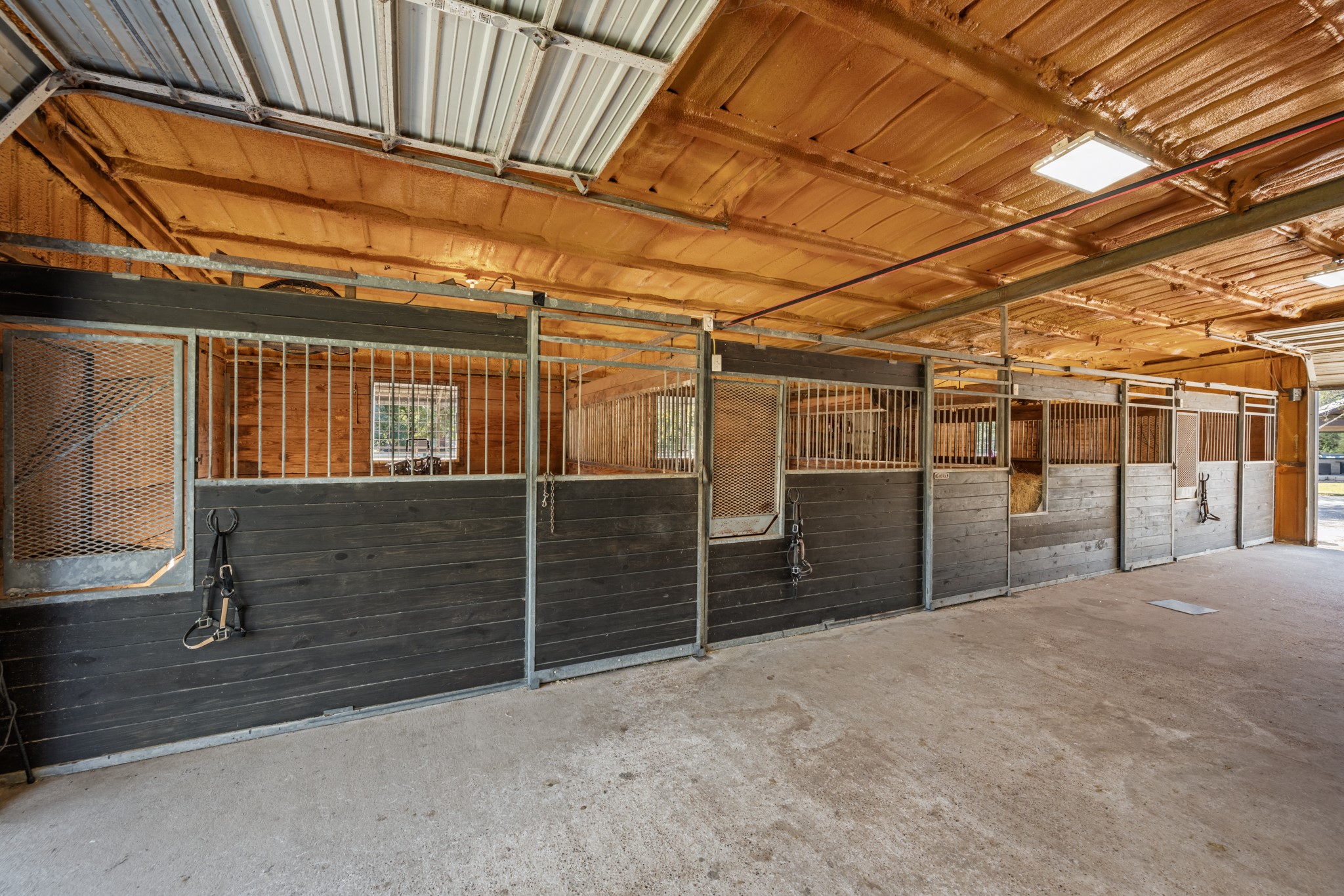 Well-appointed equestrian barn featuring multiple horse stalls with sturdy wood-and-metal construction, a wide concrete center aisle, overhead lighting, and convenient exterior access.