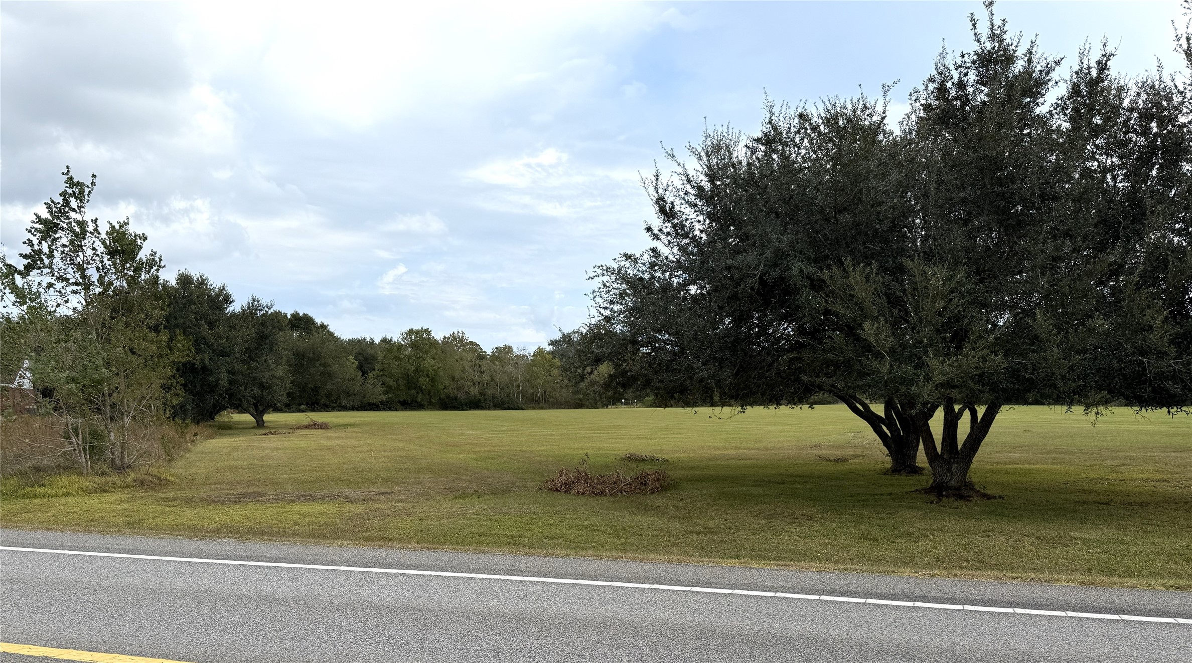 Tree line is the approximate left boundary line