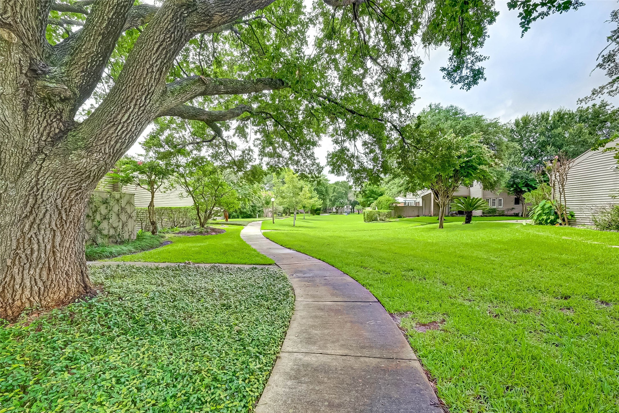 Community walking trail.