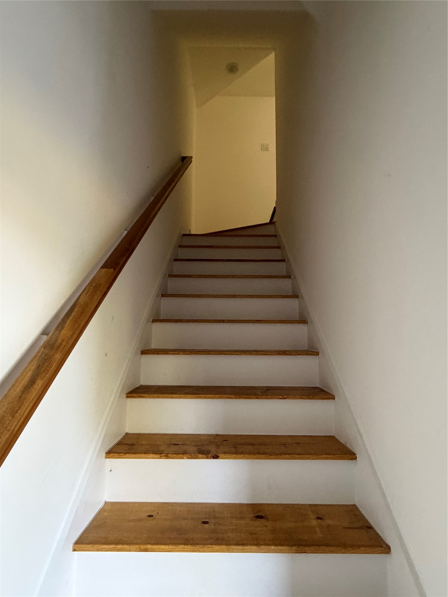 8019 Birmingham Street, #B, Houston, TX 77028